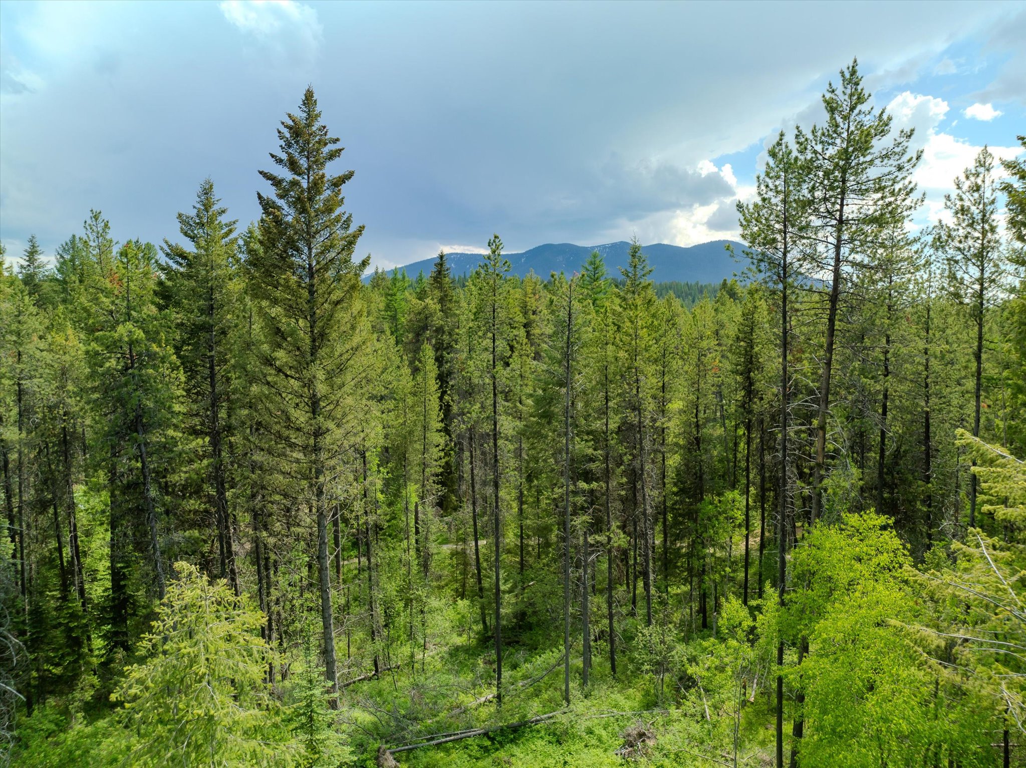 540 Seville Lane Property Photo 25