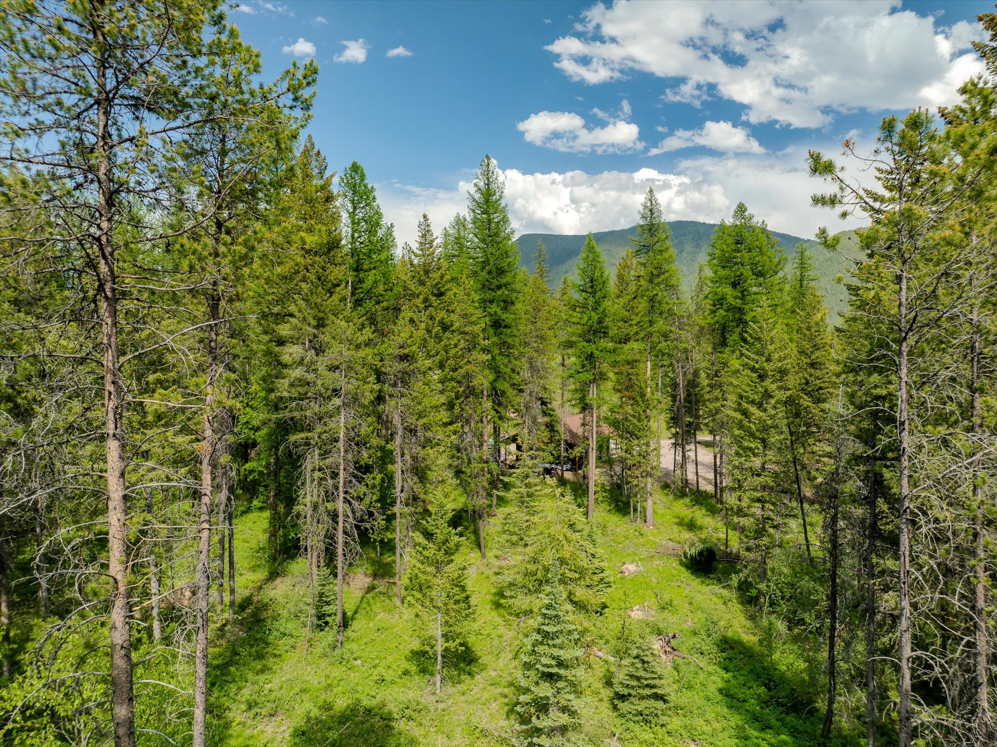 540 Seville Lane Property Photo 26