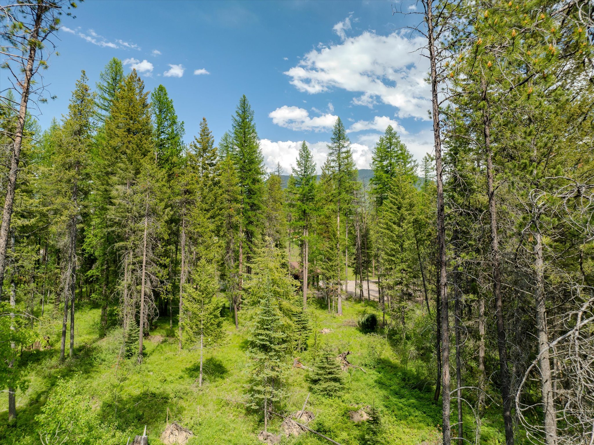 540 Seville Lane Property Photo 27