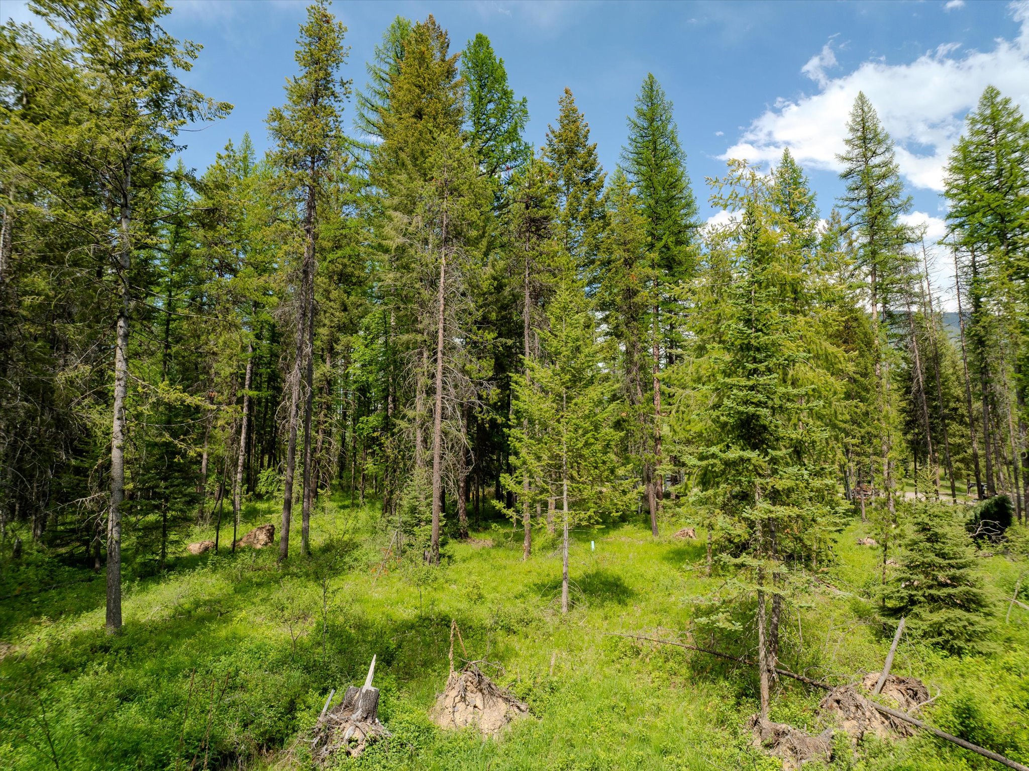 540 Seville Lane Property Photo 28