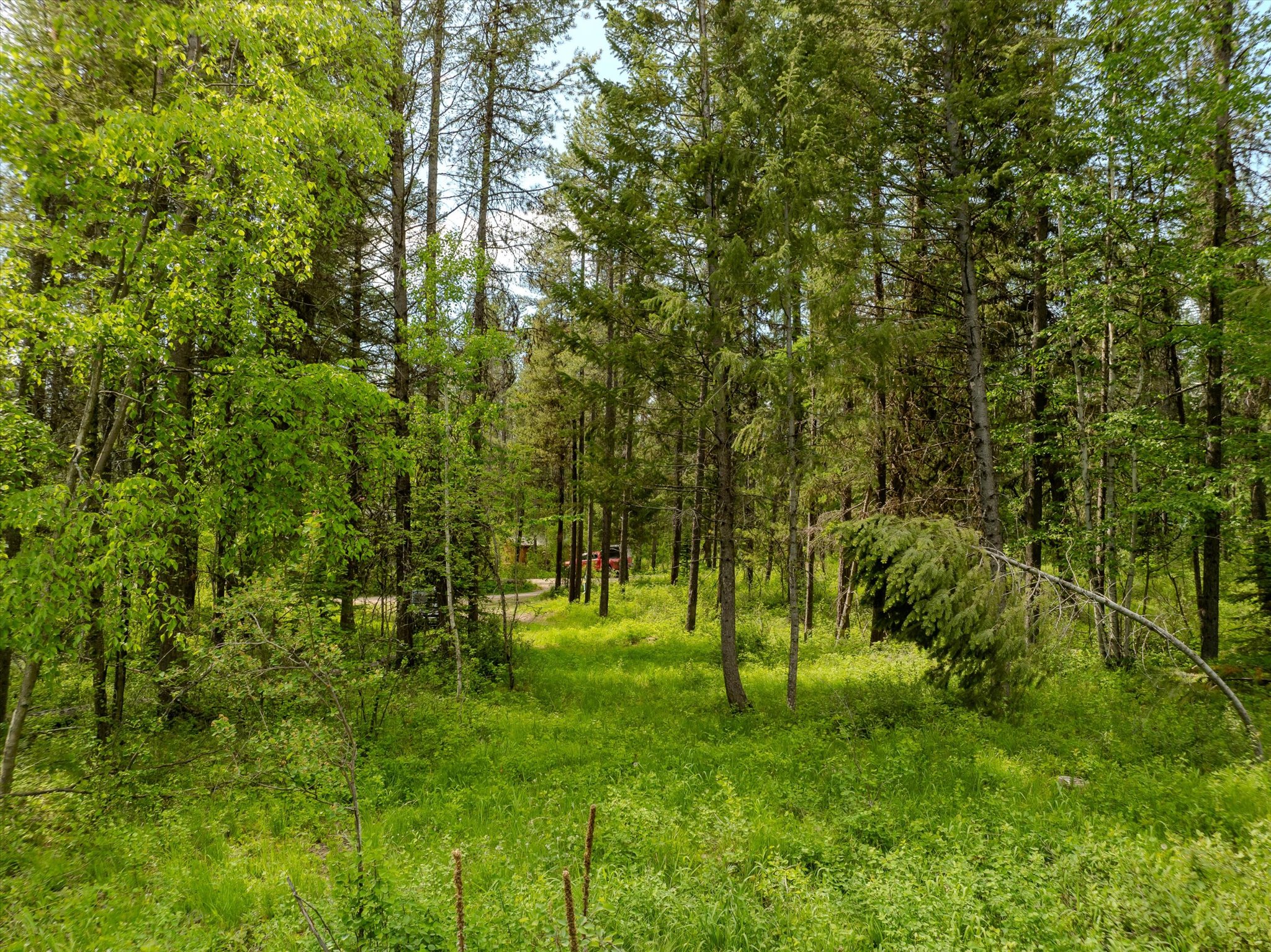 540 Seville Lane Property Photo 29