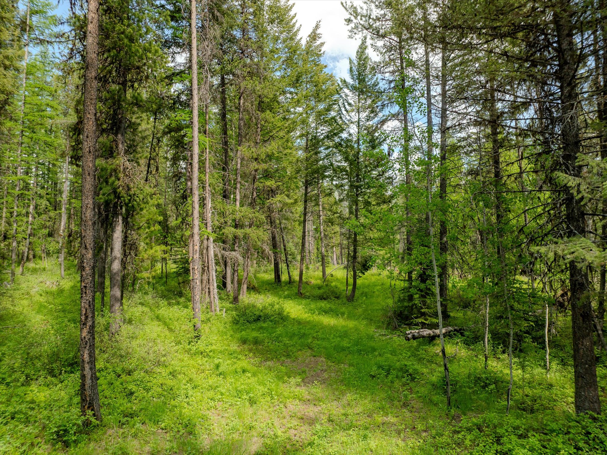 540 Seville Lane Property Photo 31