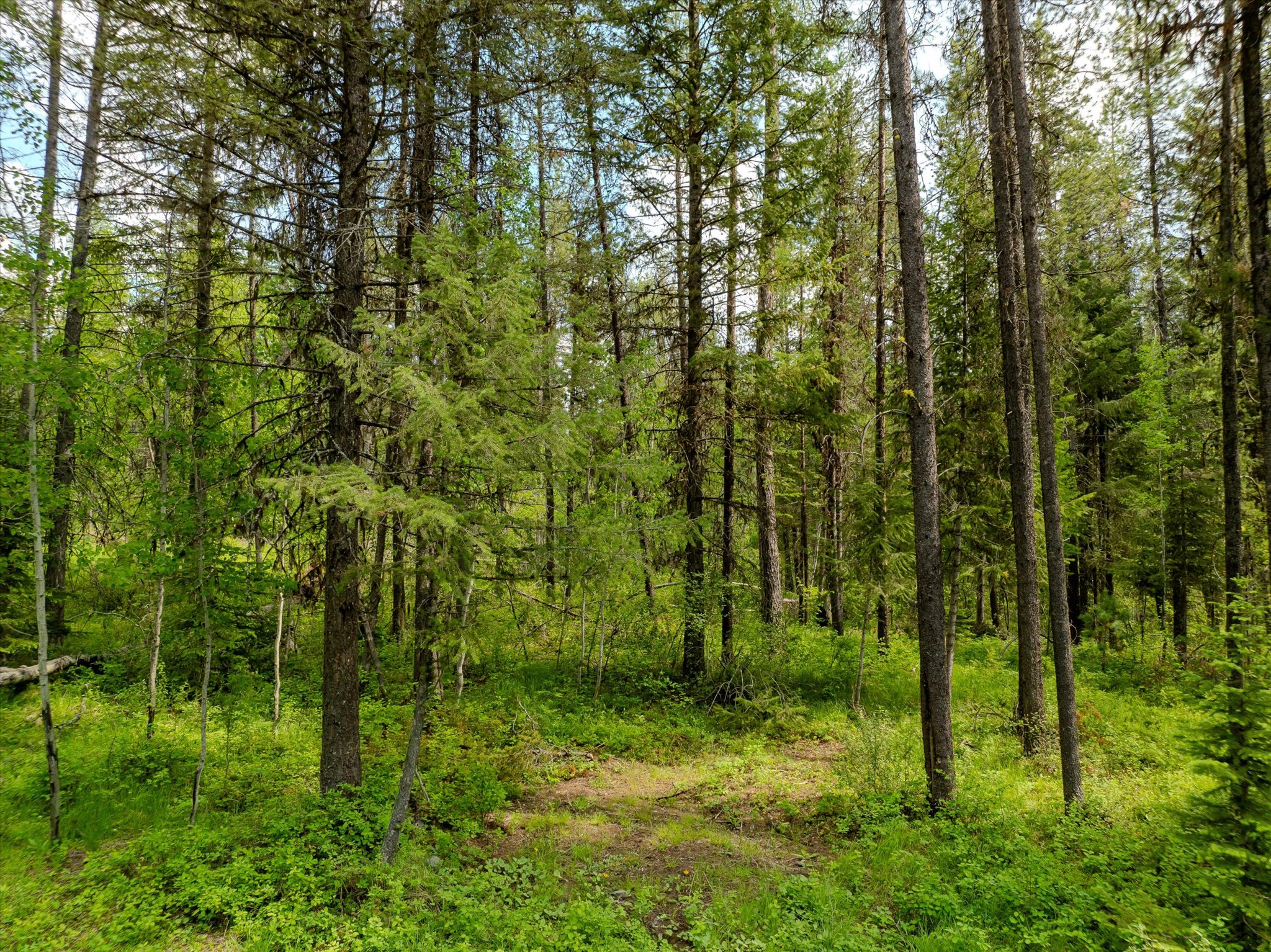 540 Seville Lane Property Photo 32