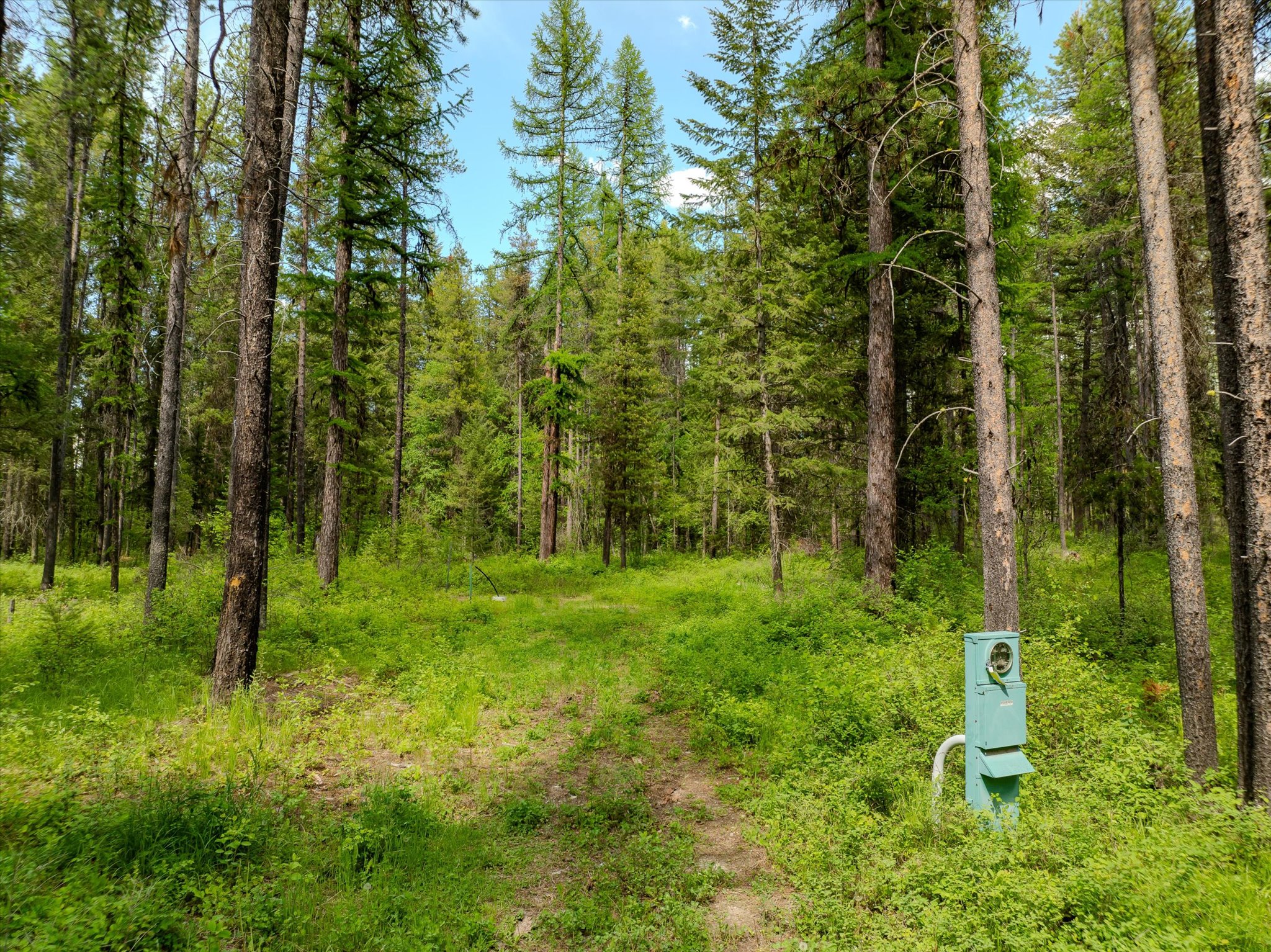 540 Seville Lane Property Photo 34