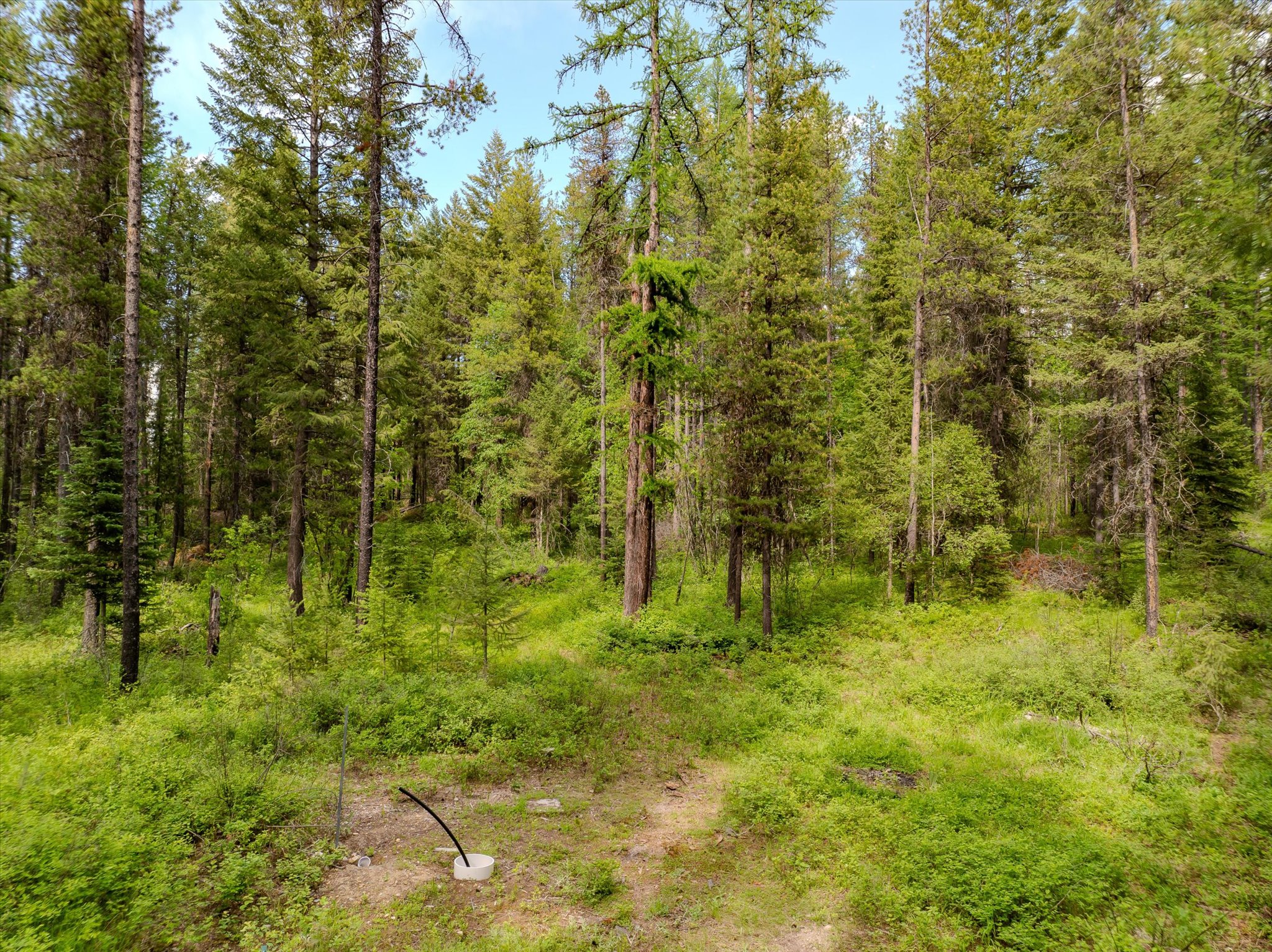 540 Seville Lane Property Photo 35