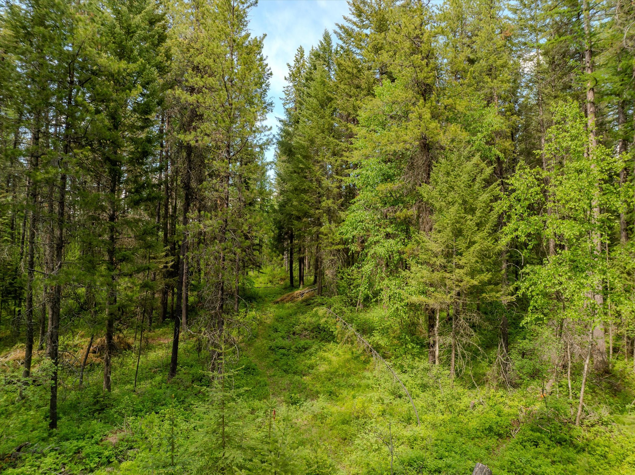 540 Seville Lane Property Photo 36