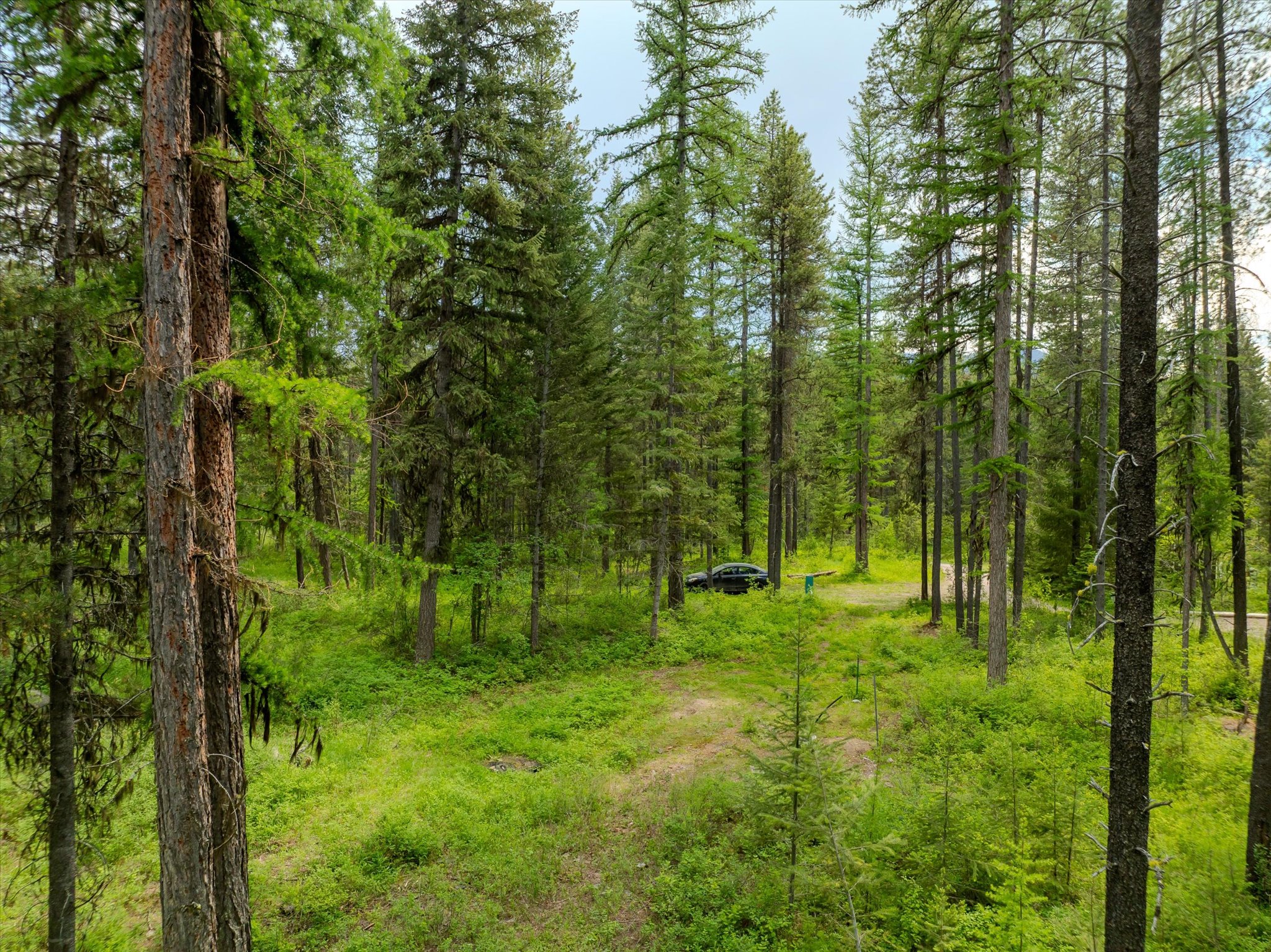 540 Seville Lane Property Photo 37