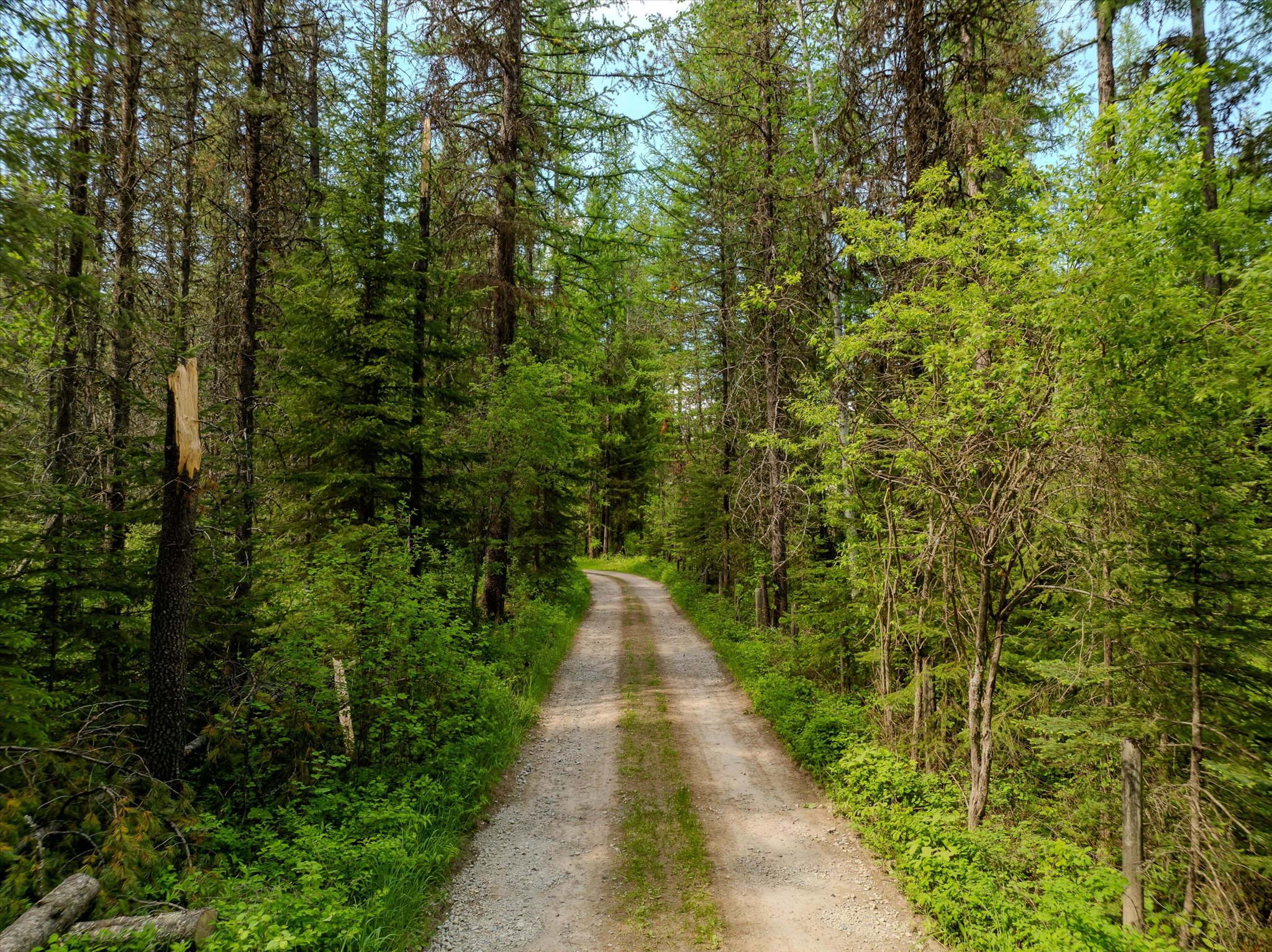 540 Seville Lane Property Photo 39