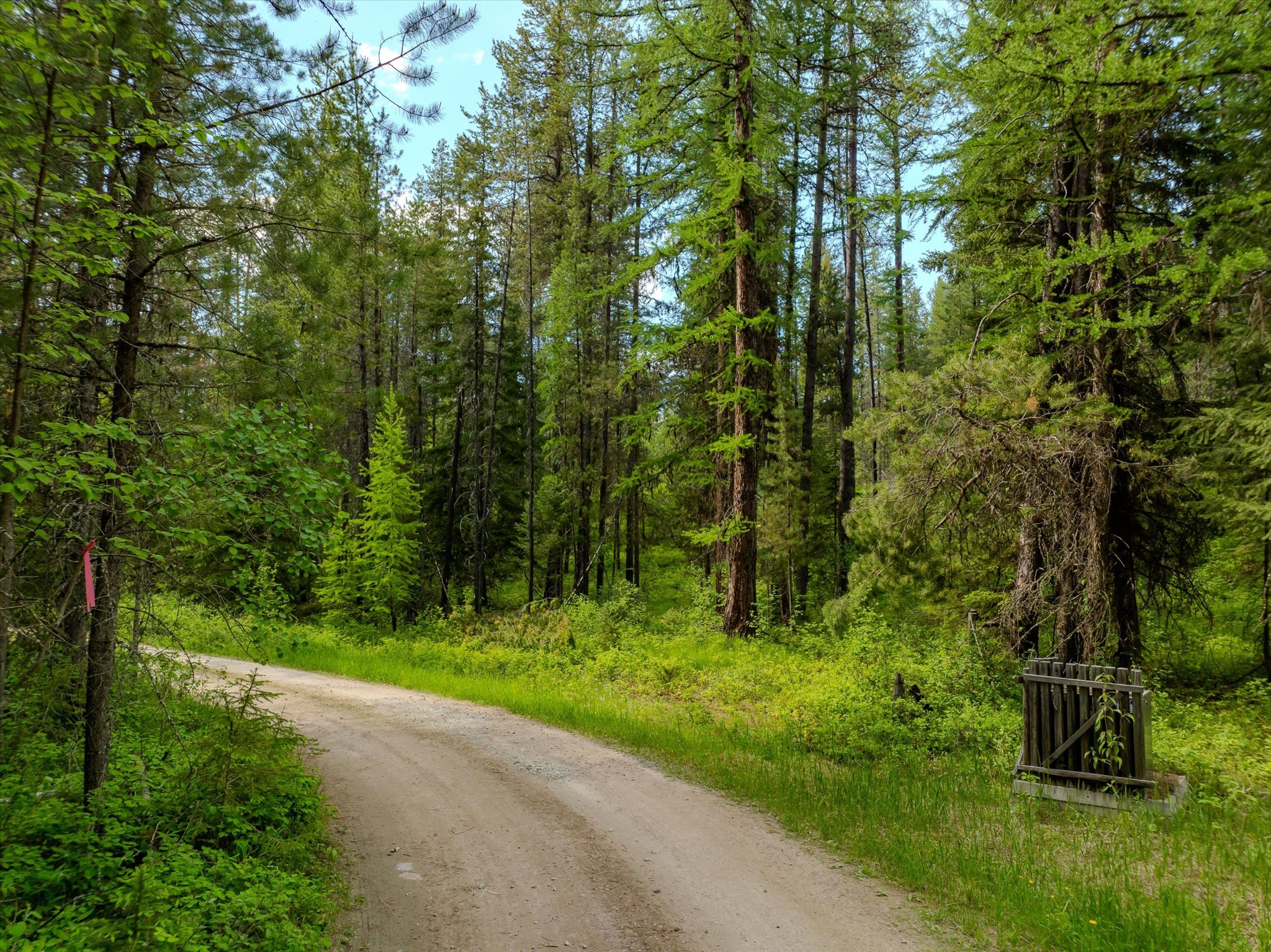 540 Seville Lane Property Photo 40