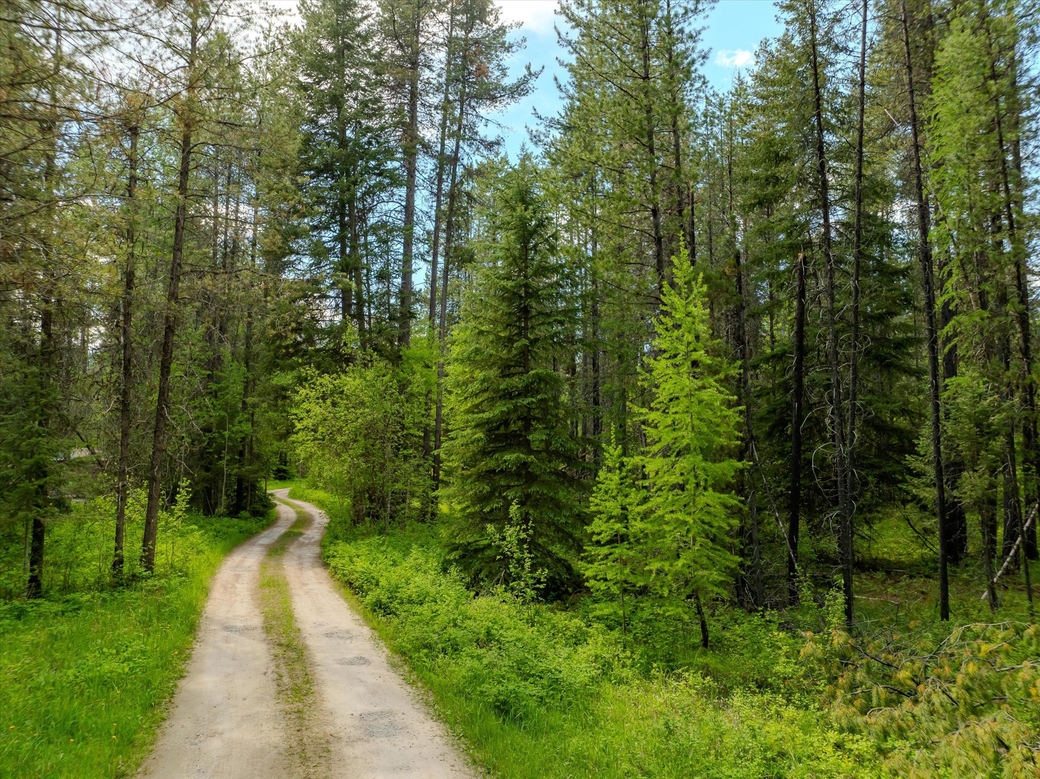 540 Seville Lane Property Photo 41