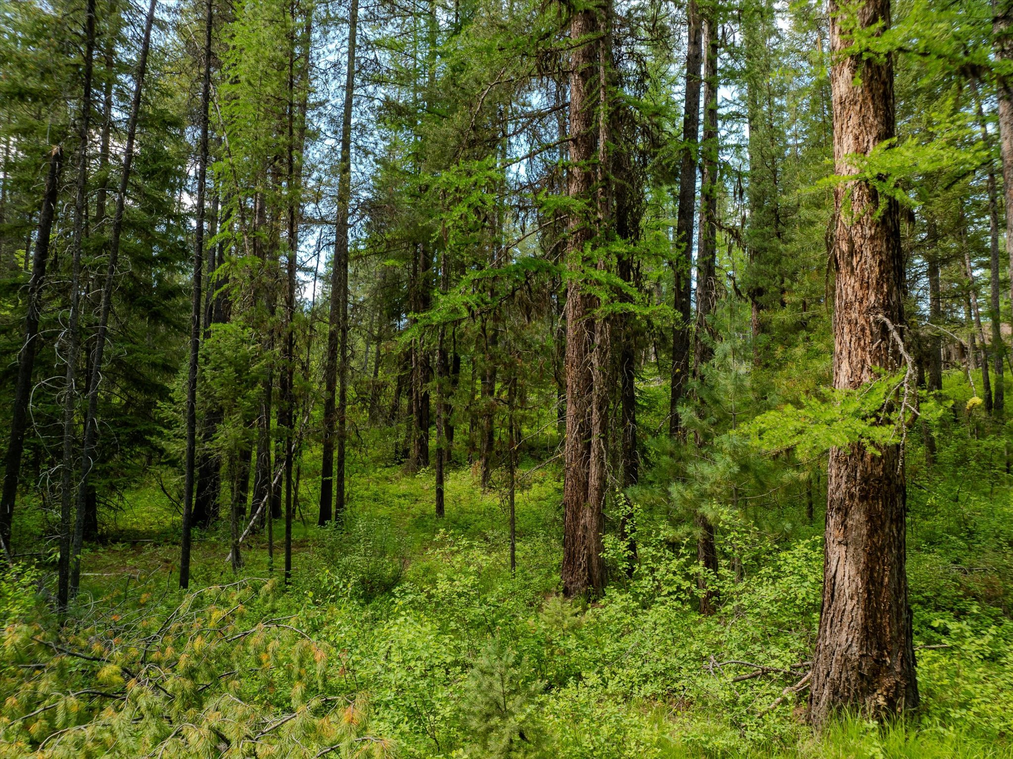 540 Seville Lane Property Photo 42