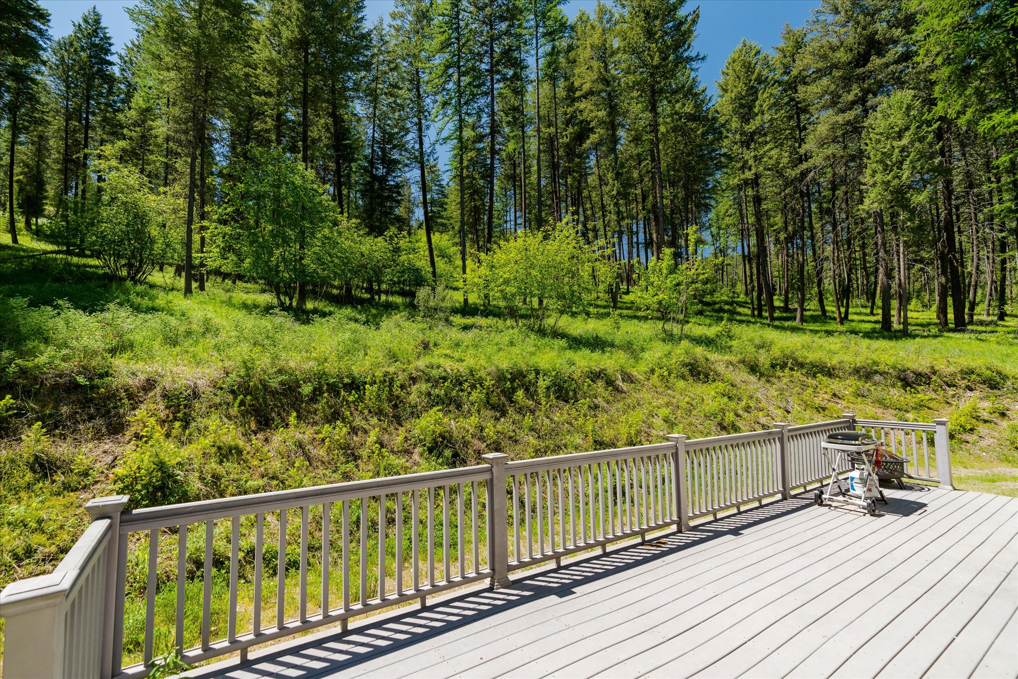 42843 Jette Lake Trail Property Photo 8