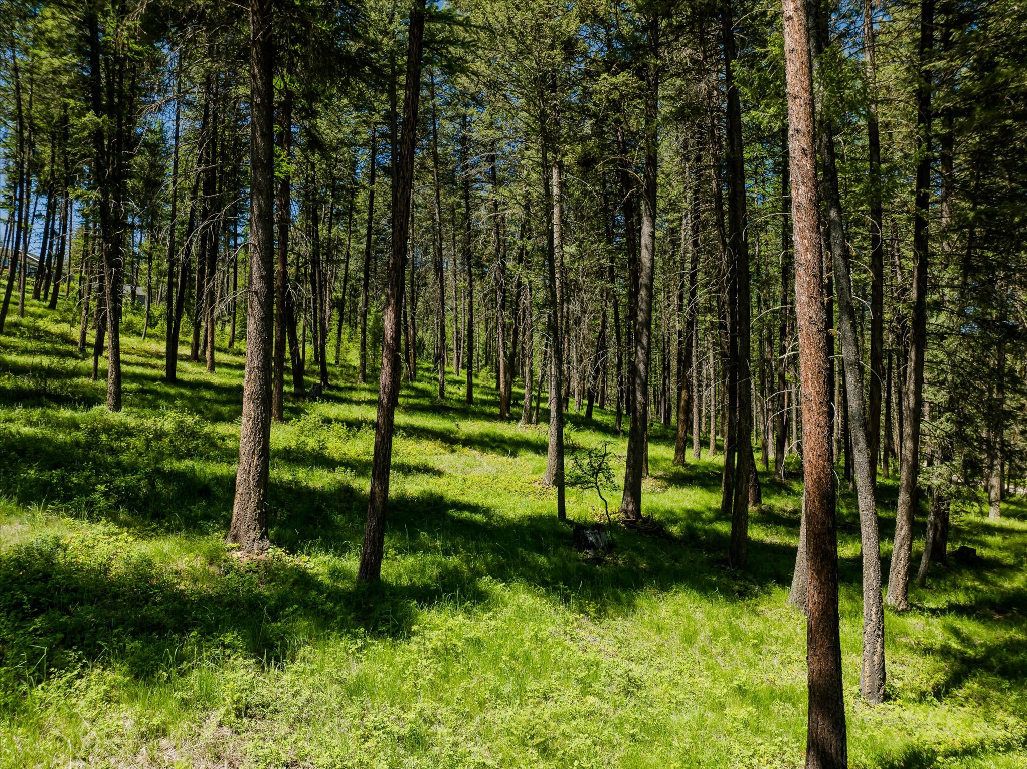 42843 Jette Lake Trail Property Photo 32