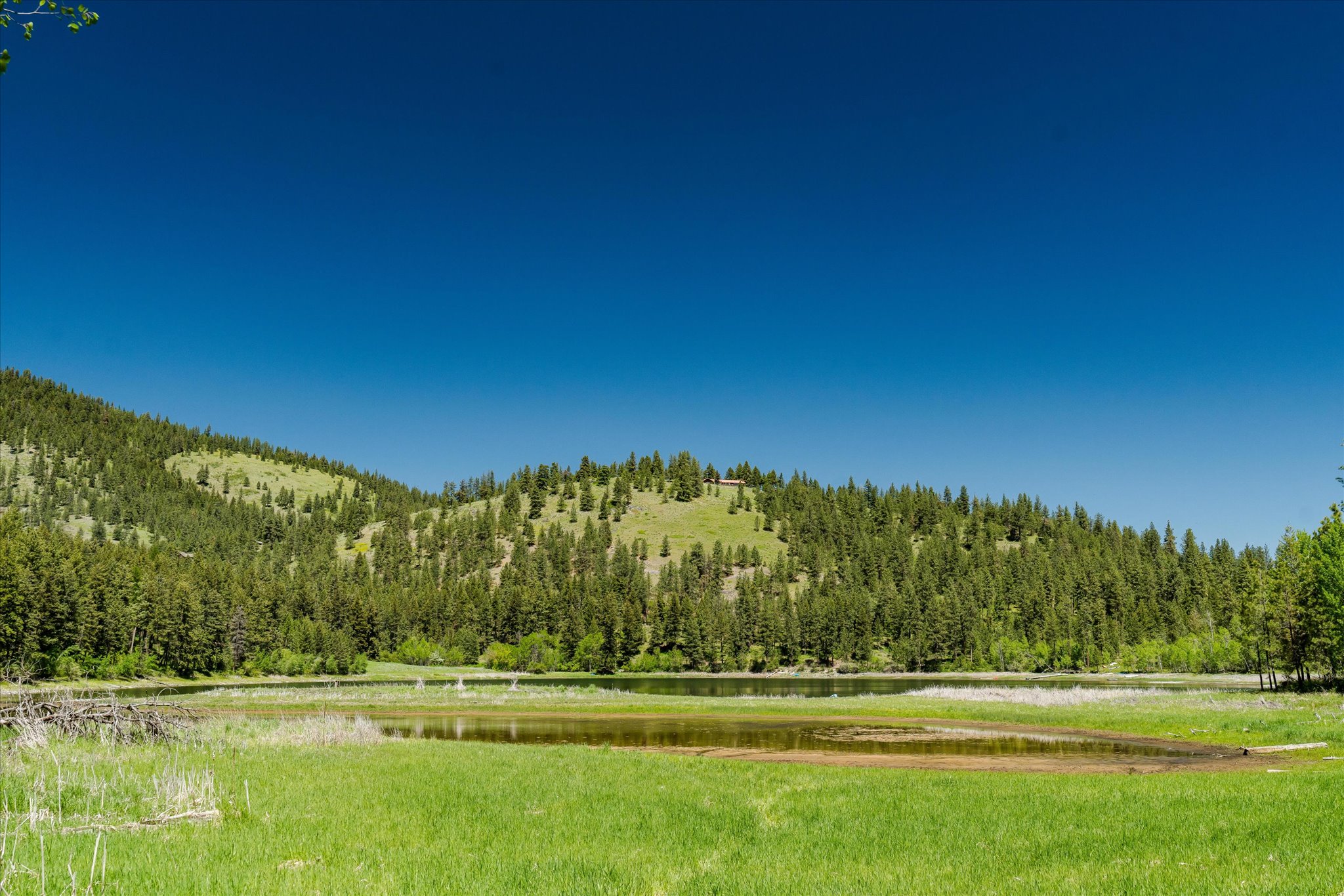 42843 Jette Lake Trail Property Photo 39