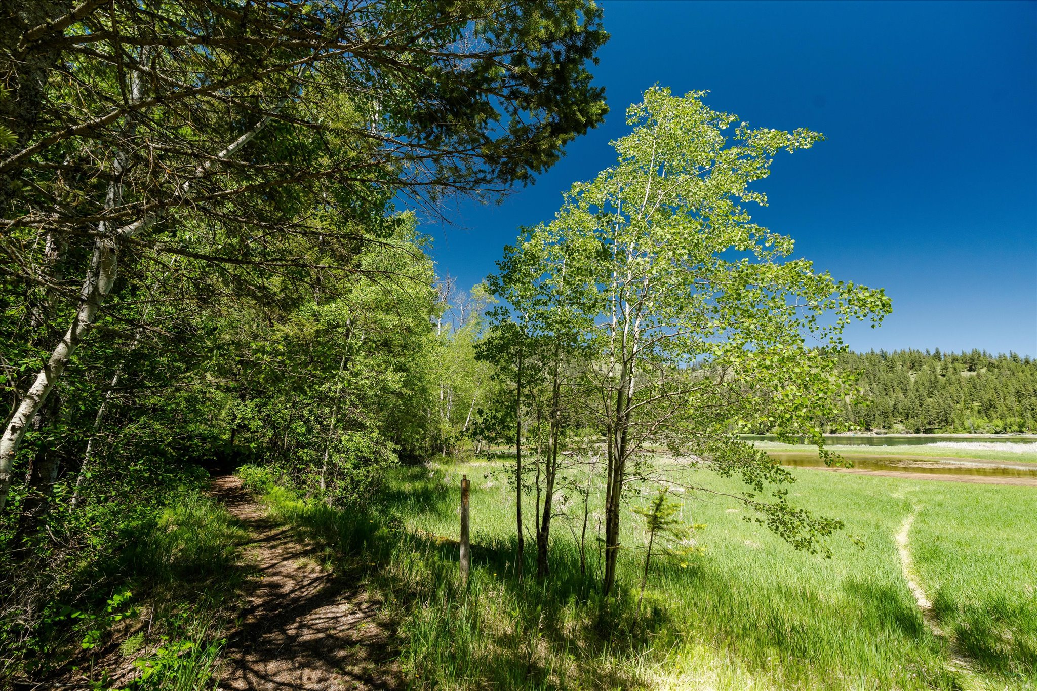 42843 Jette Lake Trail Property Photo 40