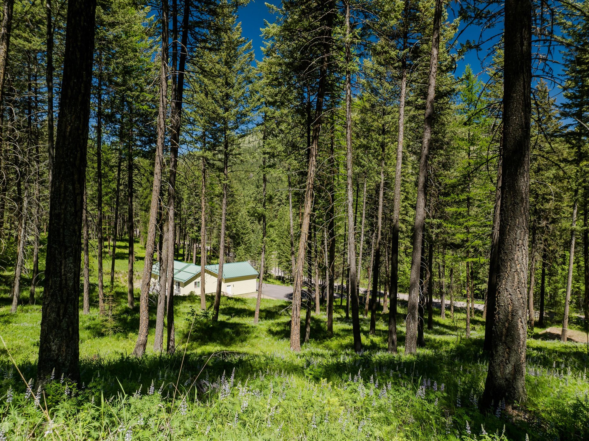 42843 Jette Lake Trail Property Photo 51