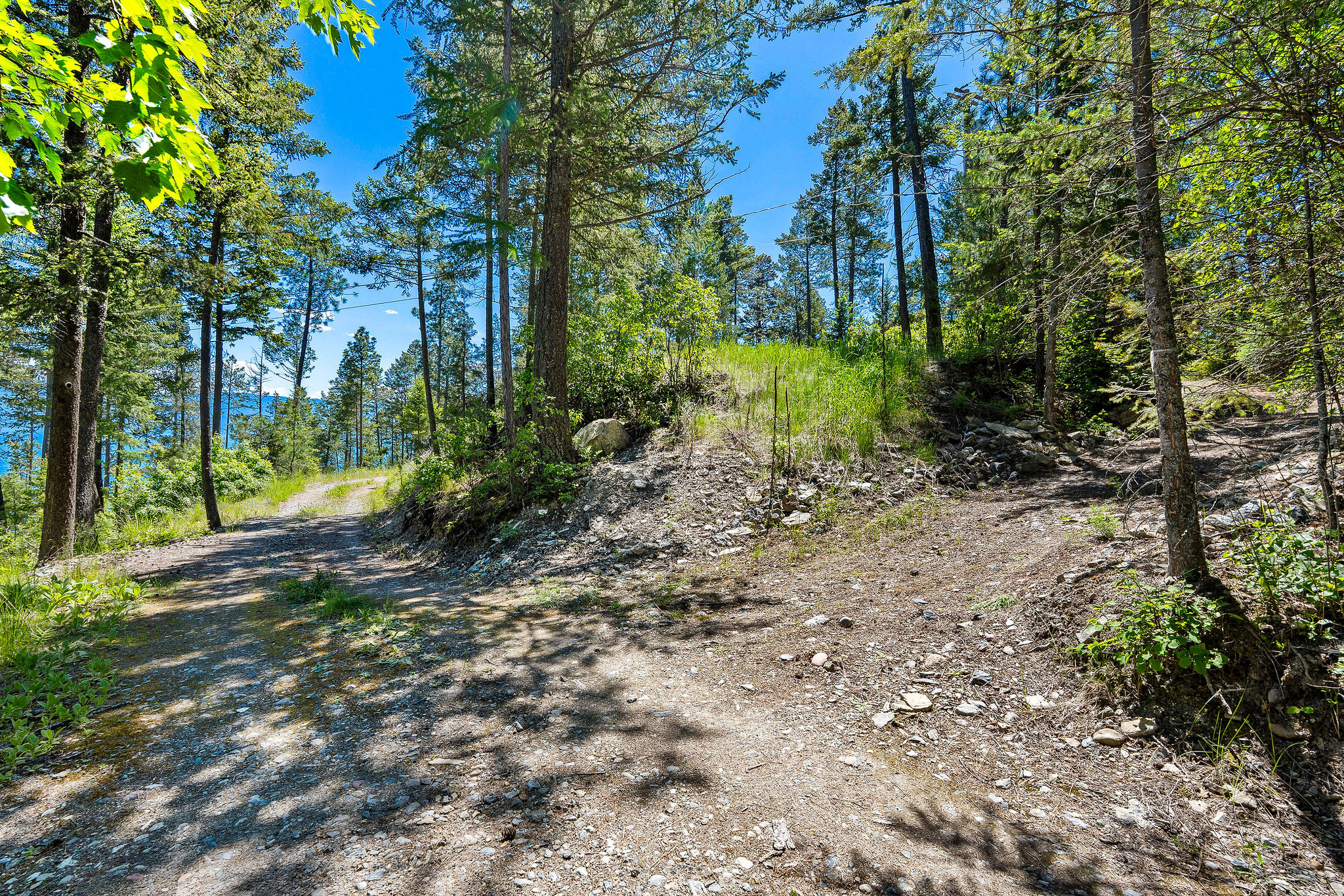 39270 Running Rock Lane Property Photo 5