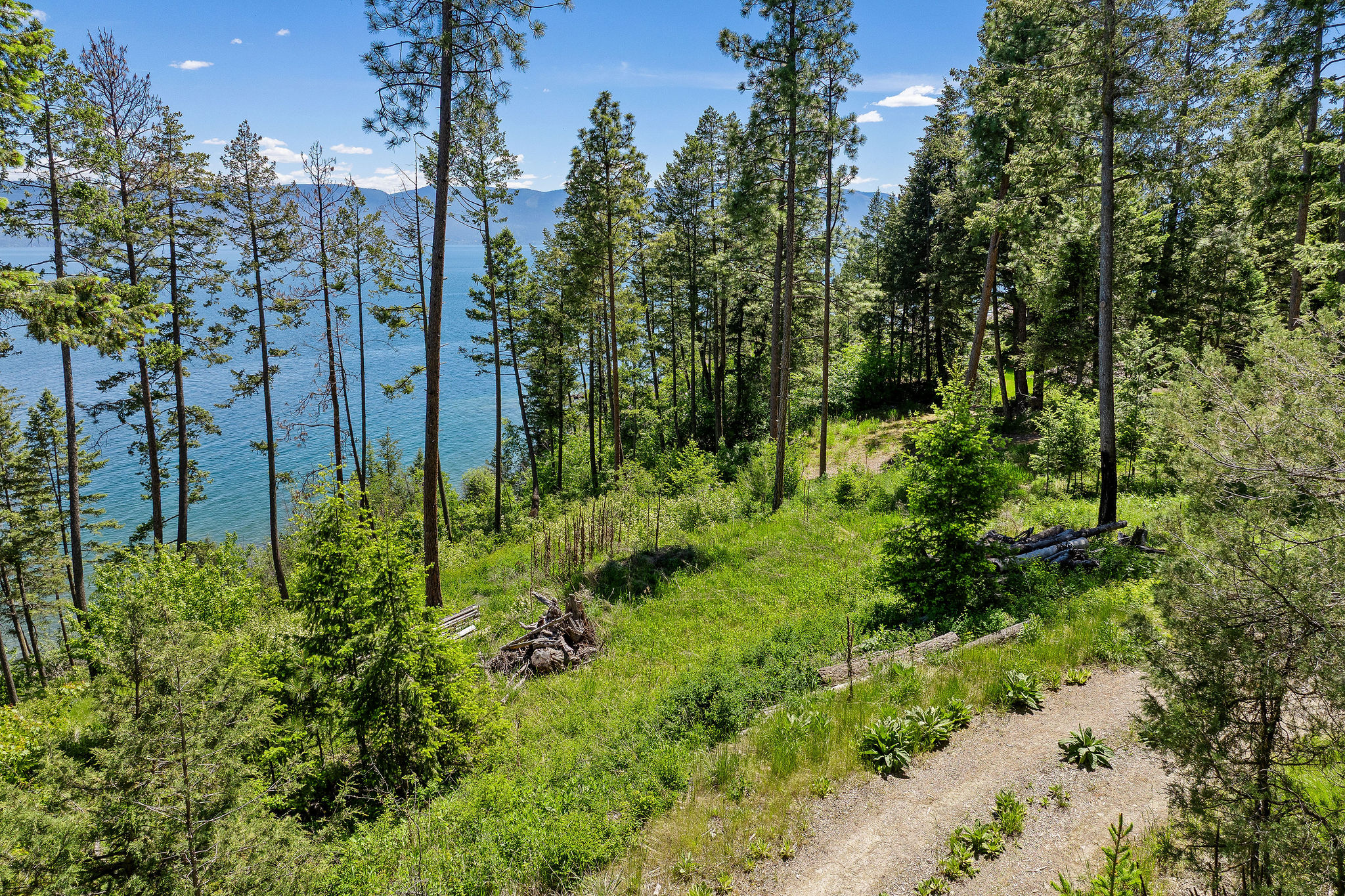 39270 Running Rock Lane Property Photo 6