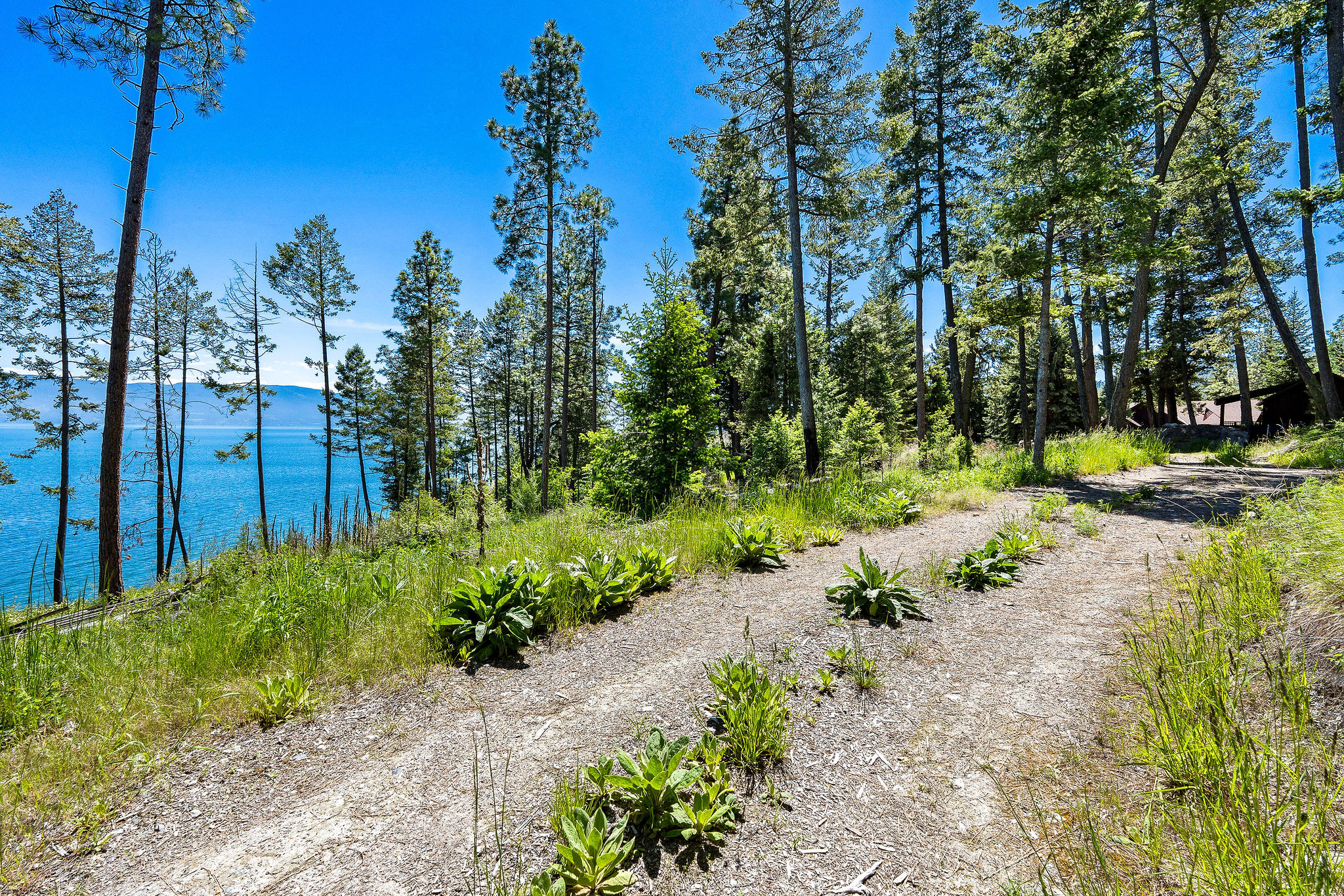 39270 Running Rock Lane Property Photo 7