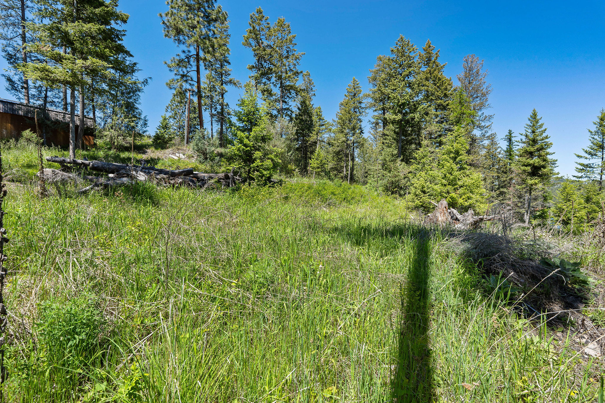 39270 Running Rock Lane Property Photo 10