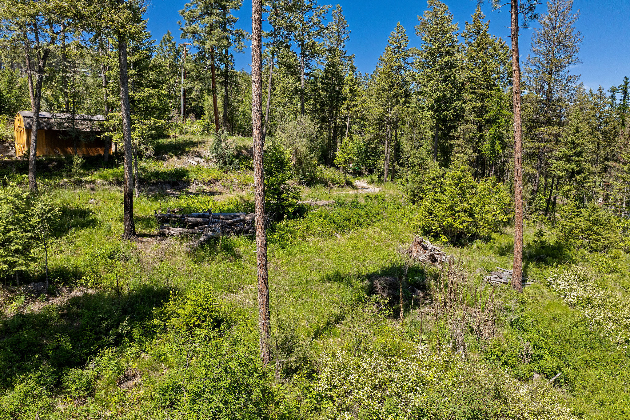 39270 Running Rock Lane Property Photo 11