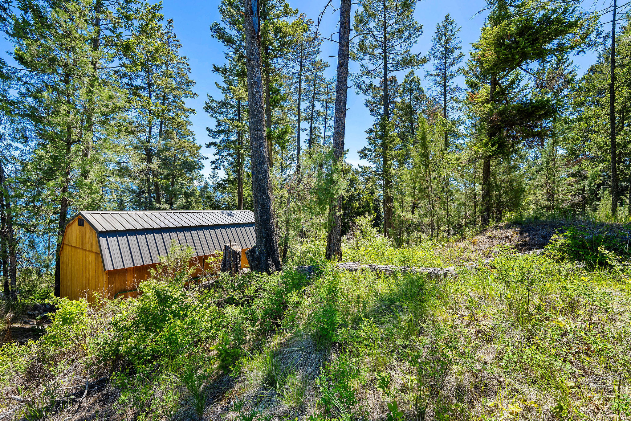 39270 Running Rock Lane Property Photo 14