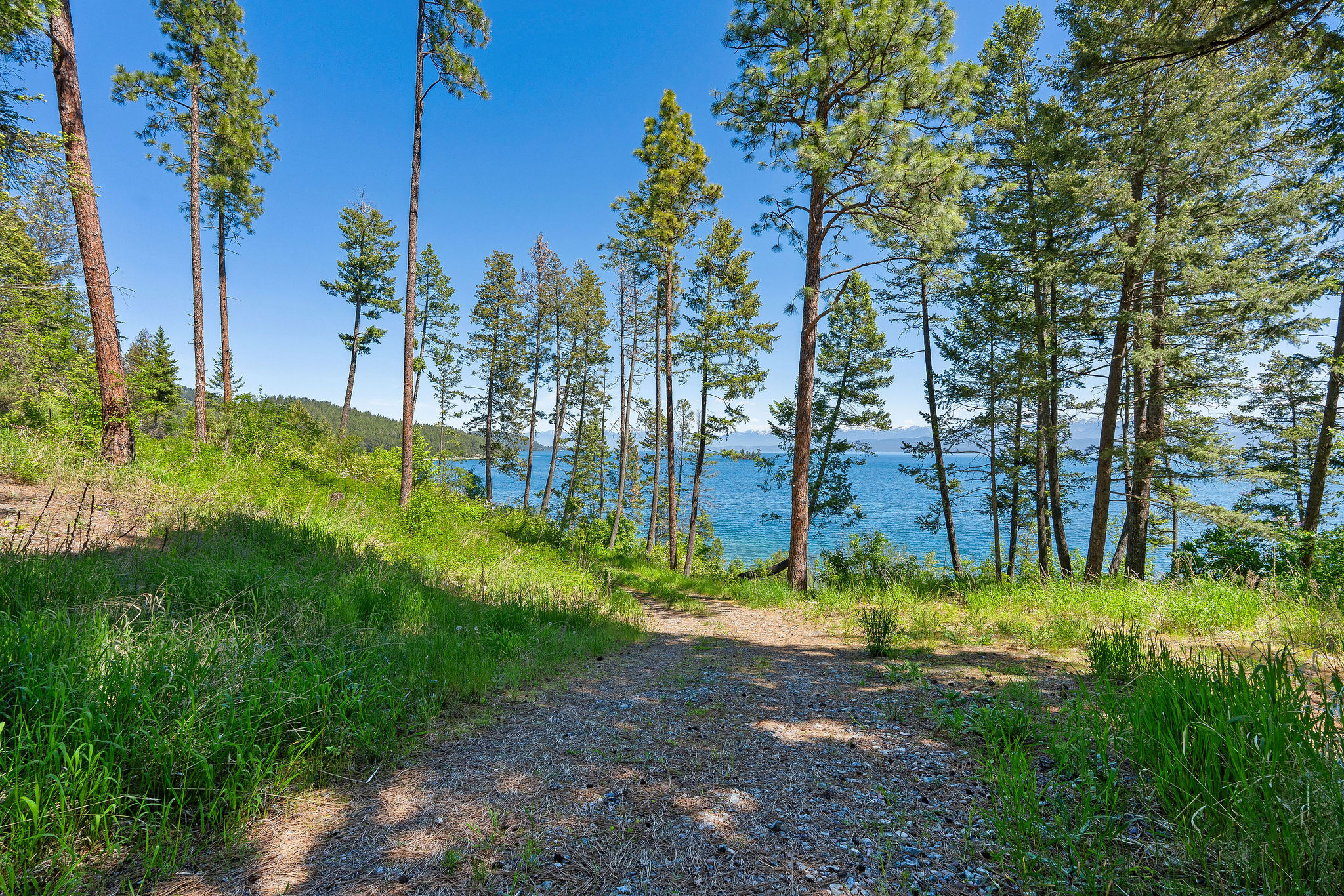 39270 Running Rock Lane Property Photo 19