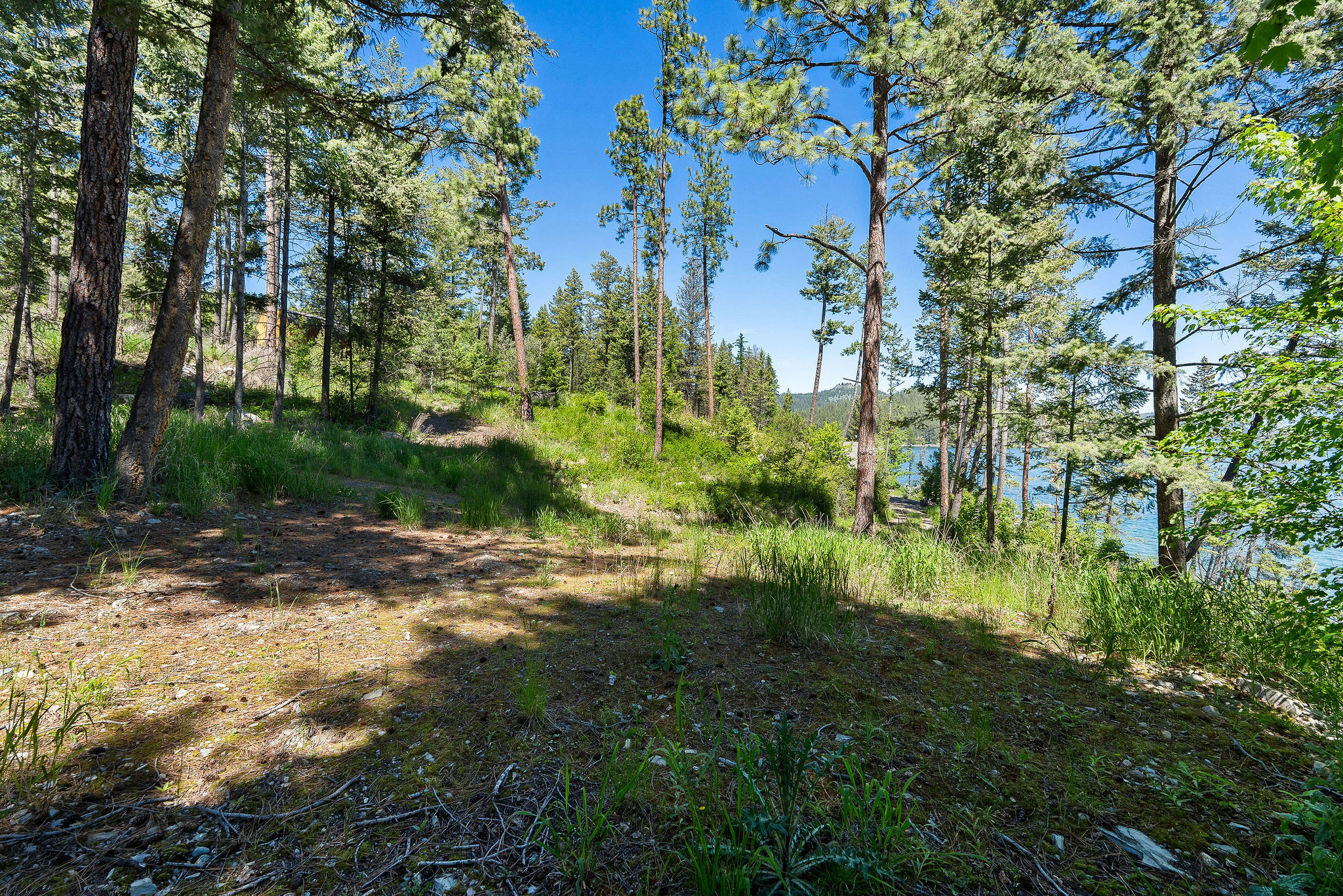 39270 Running Rock Lane Property Photo 20