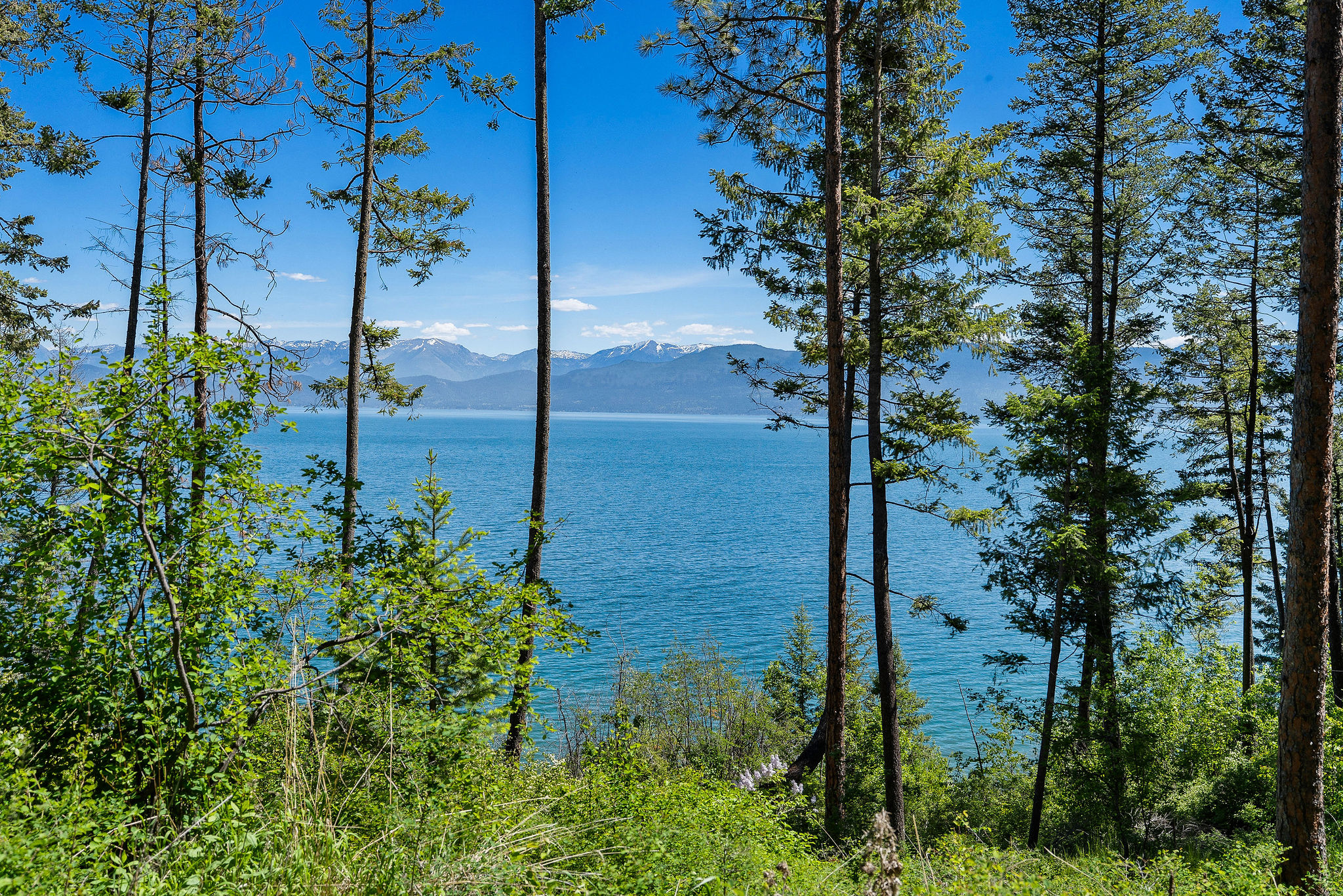 39270 Running Rock Lane Property Photo 21