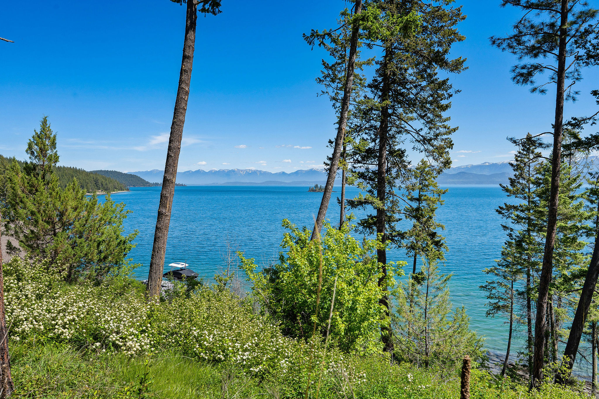 39270 Running Rock Lane Property Photo 22