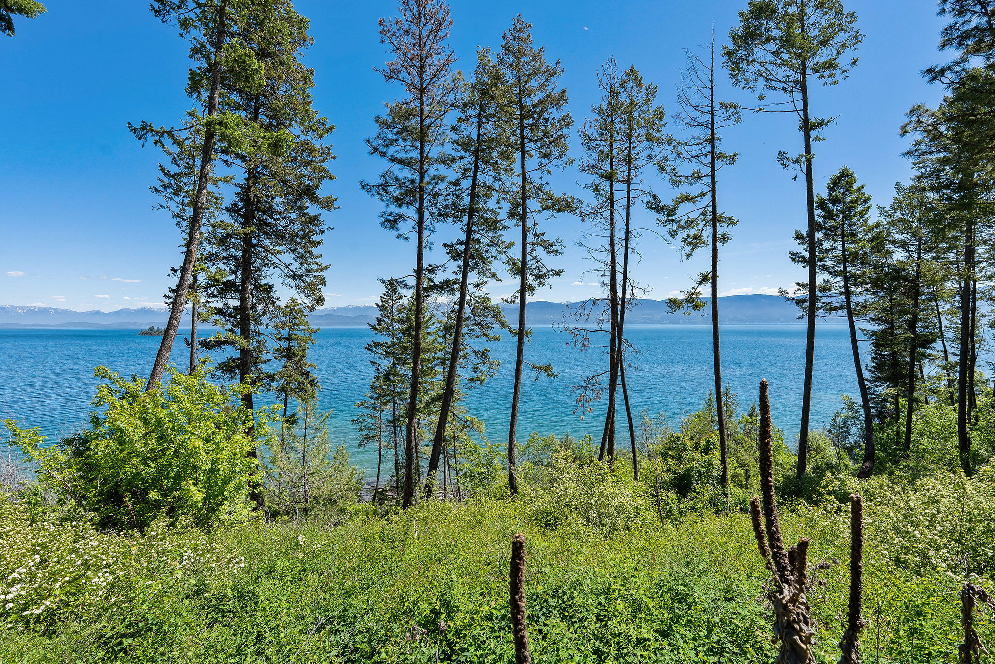 39270 Running Rock Lane Property Photo 23