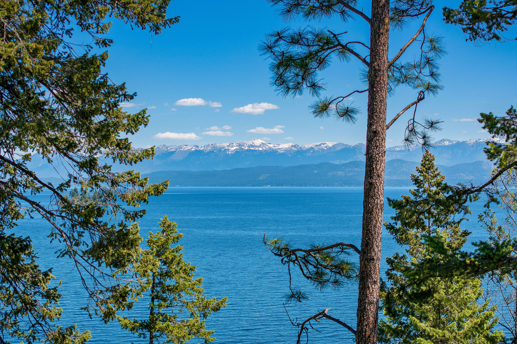 39270 Running Rock Lane Property Photo 24