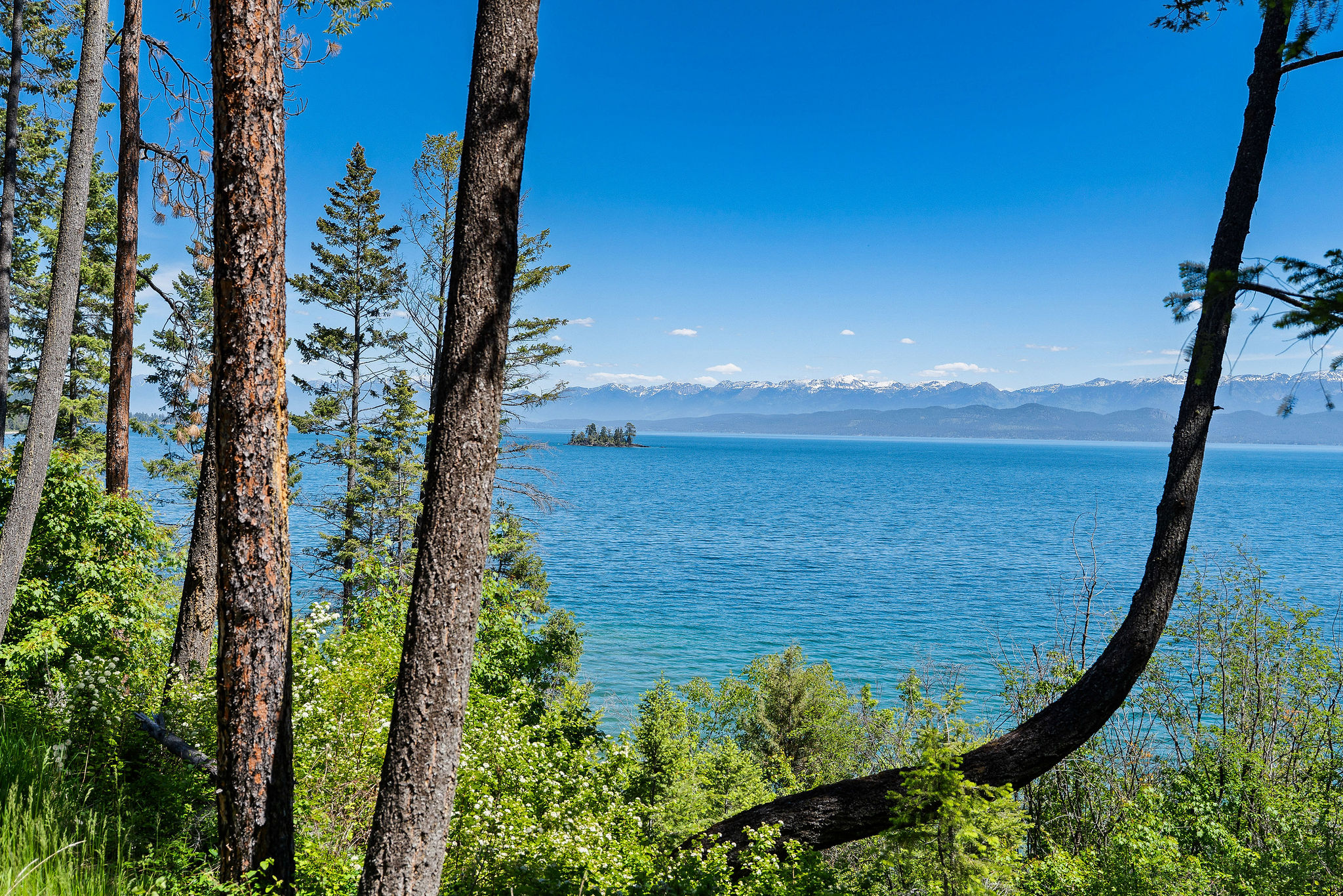 39270 Running Rock Lane Property Photo 25