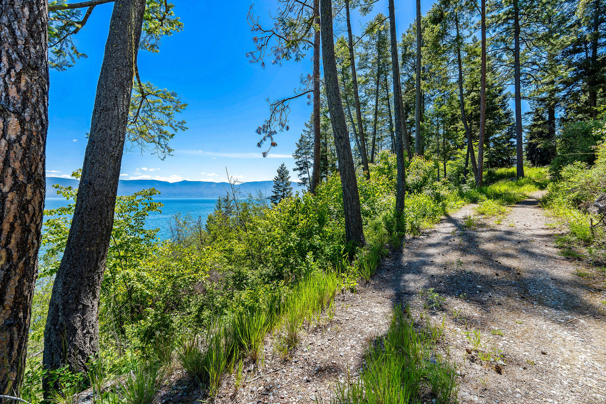 39270 Running Rock Lane Property Photo 26