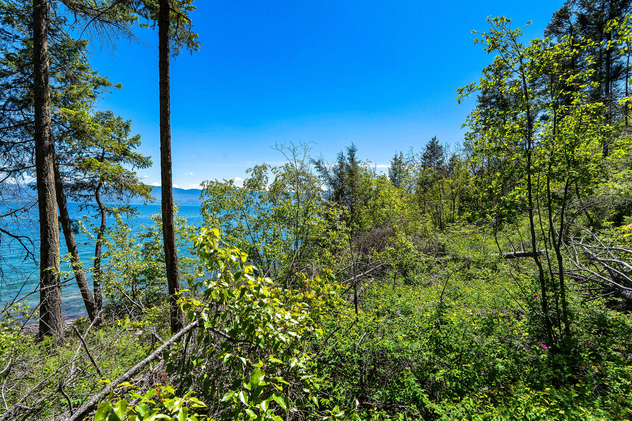 39270 Running Rock Lane Property Photo 27