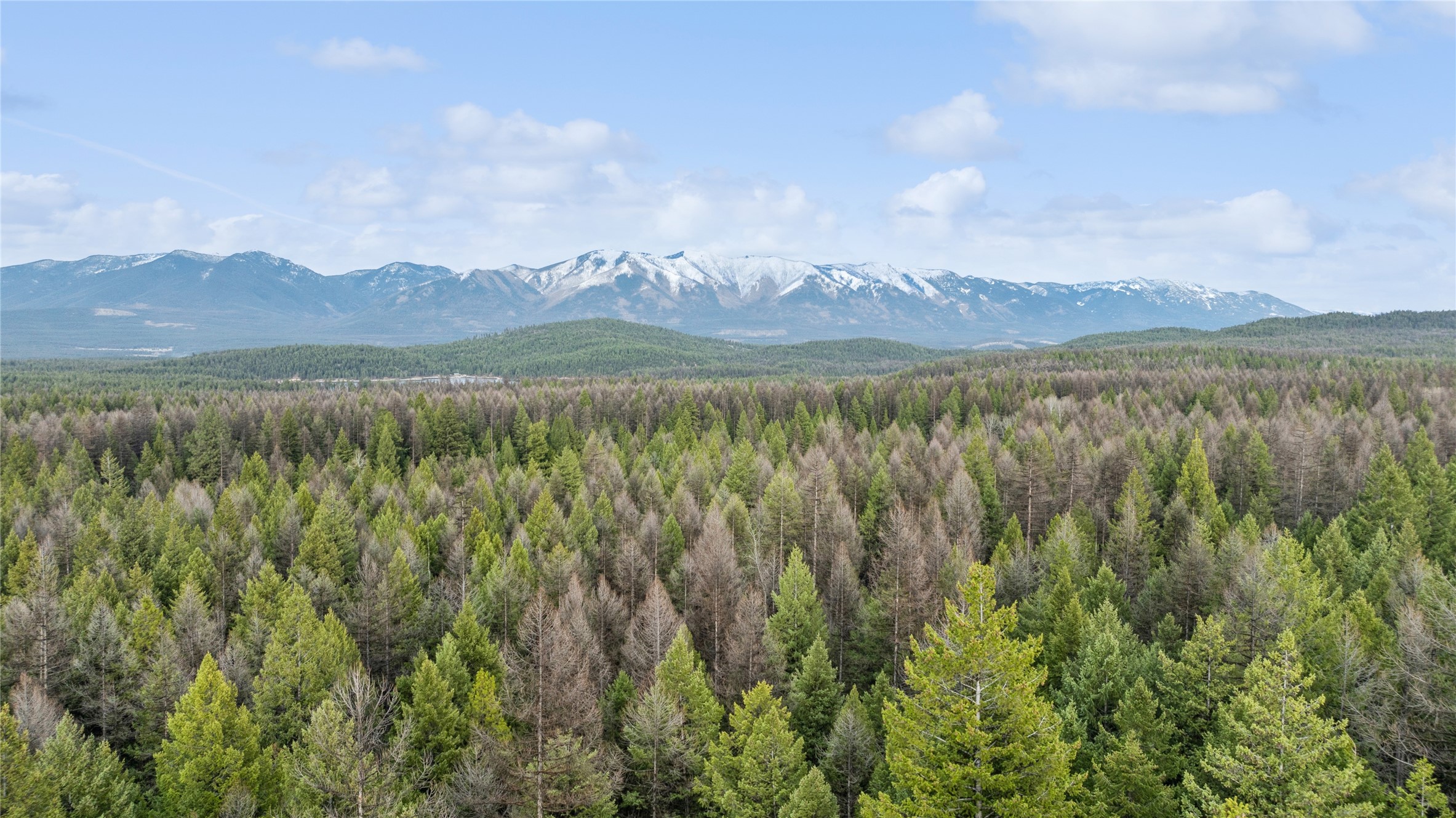 320 Silver Spur Trail Property Photo 1