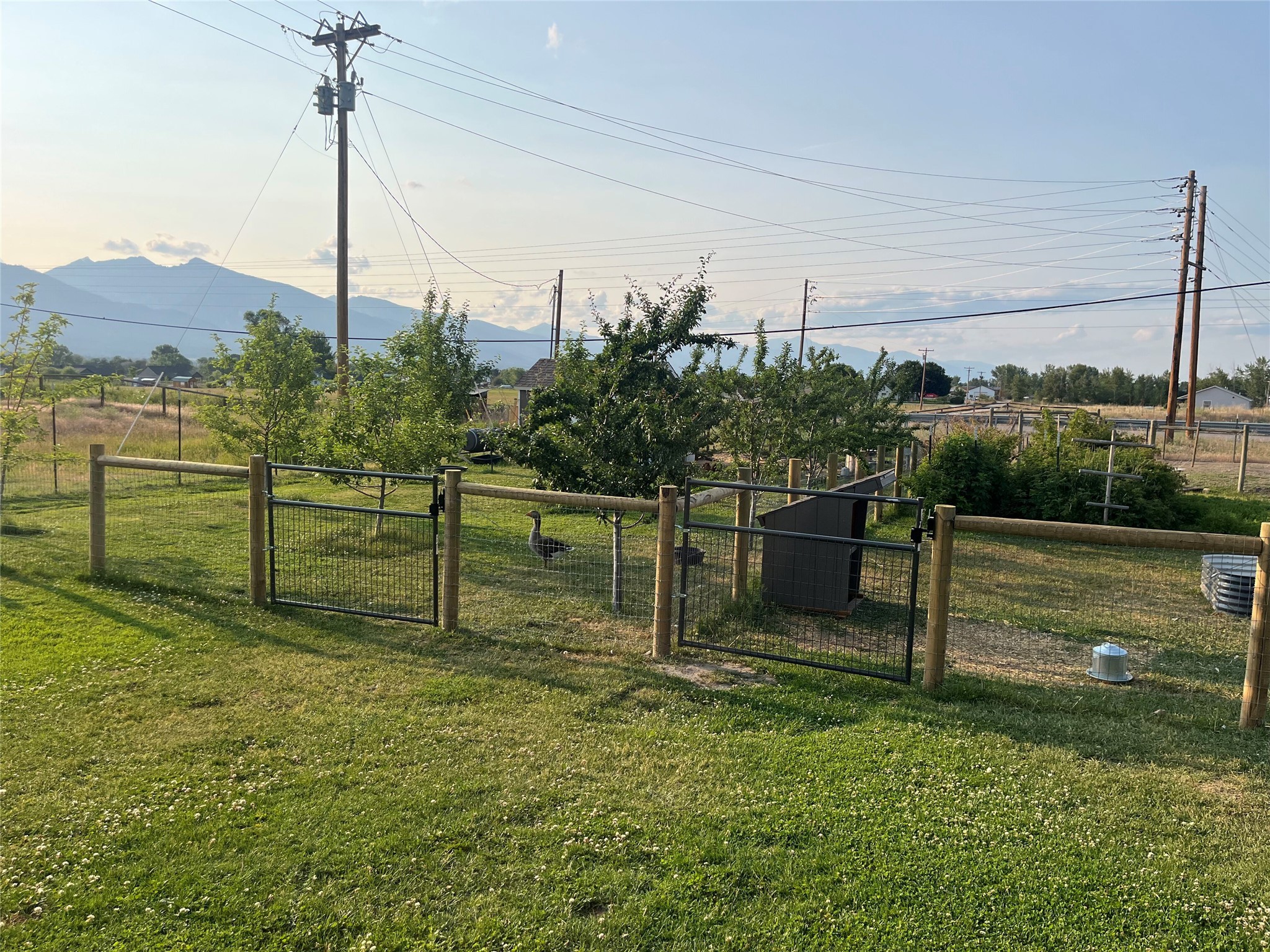825 Cochise Way Property Photo 46