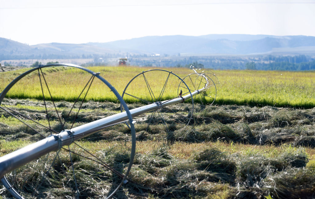 711 Middle Burnt Fork Road Property Photo 6