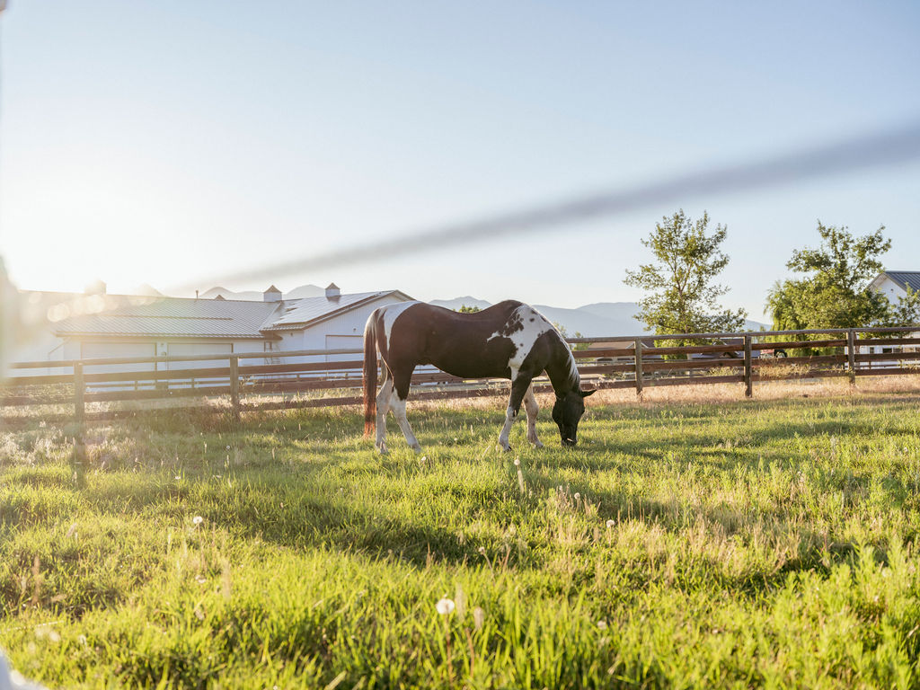 711 Middle Burnt Fork Road Property Photo 47