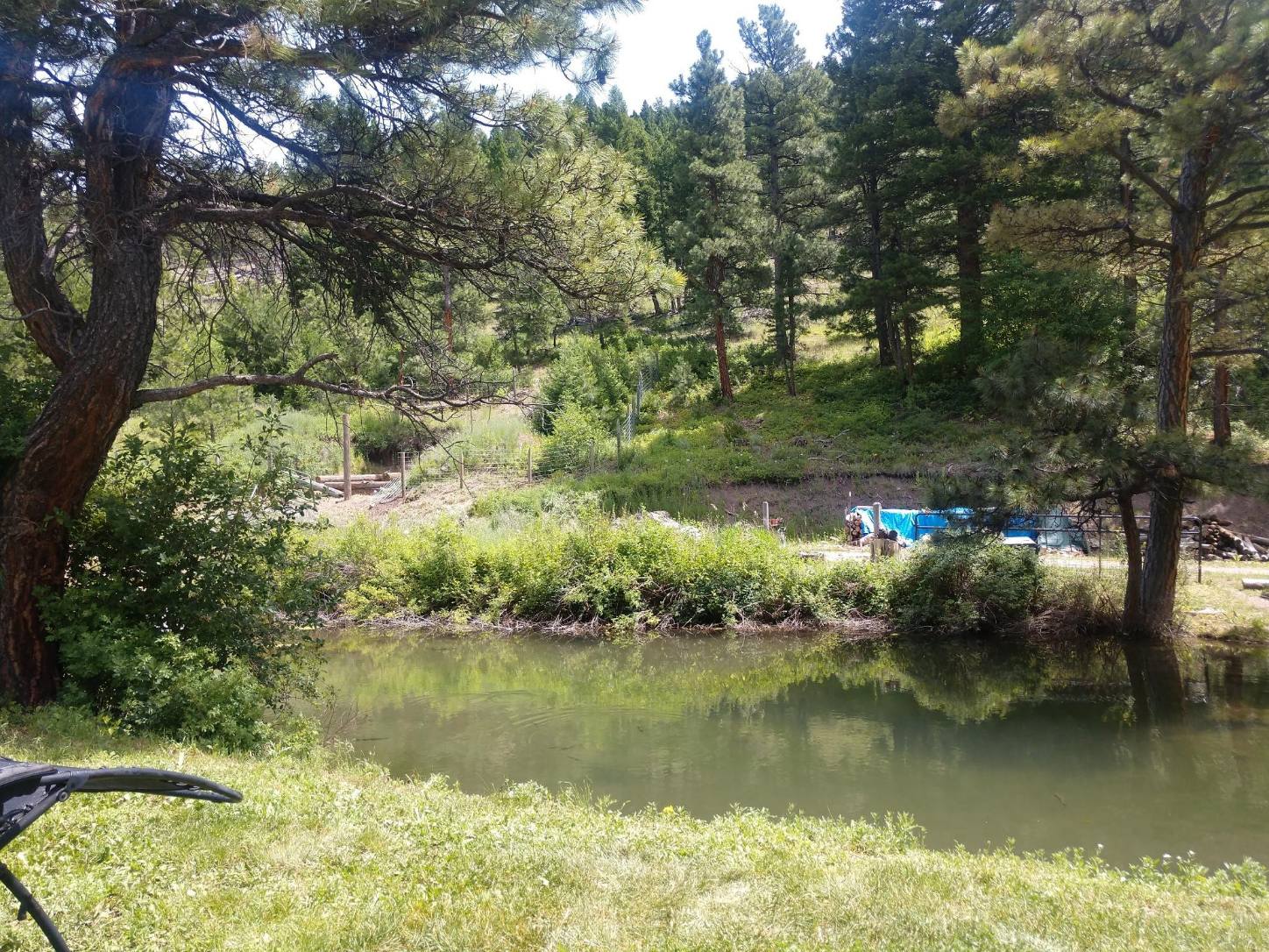 2270 Lynx Trail Drive Property Photo 4