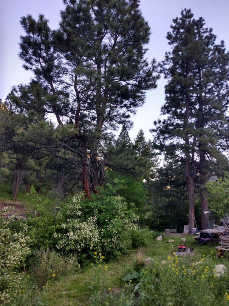 2270 Lynx Trail Drive Property Photo 15