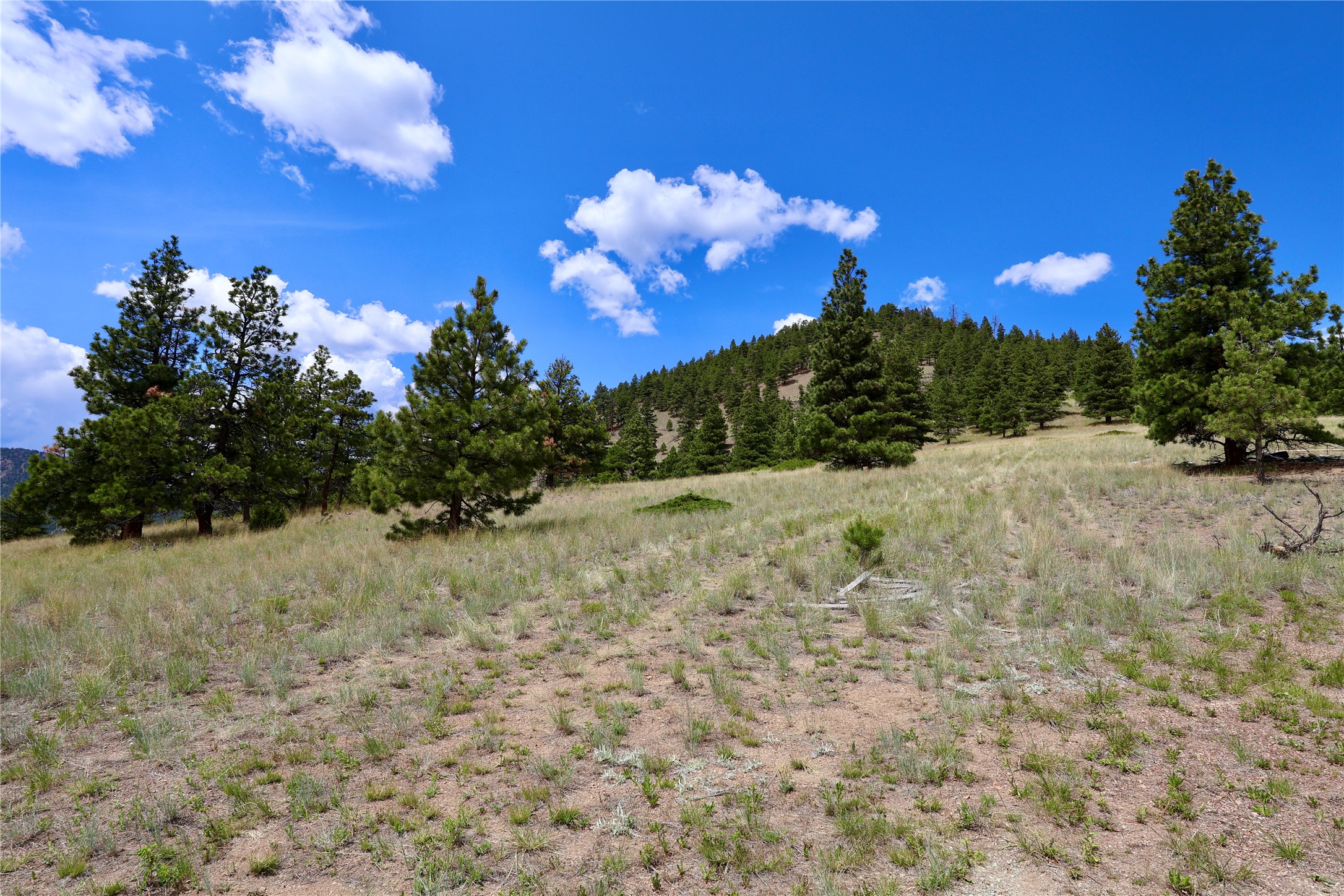 2270 Lynx Trail Drive Property Photo 19