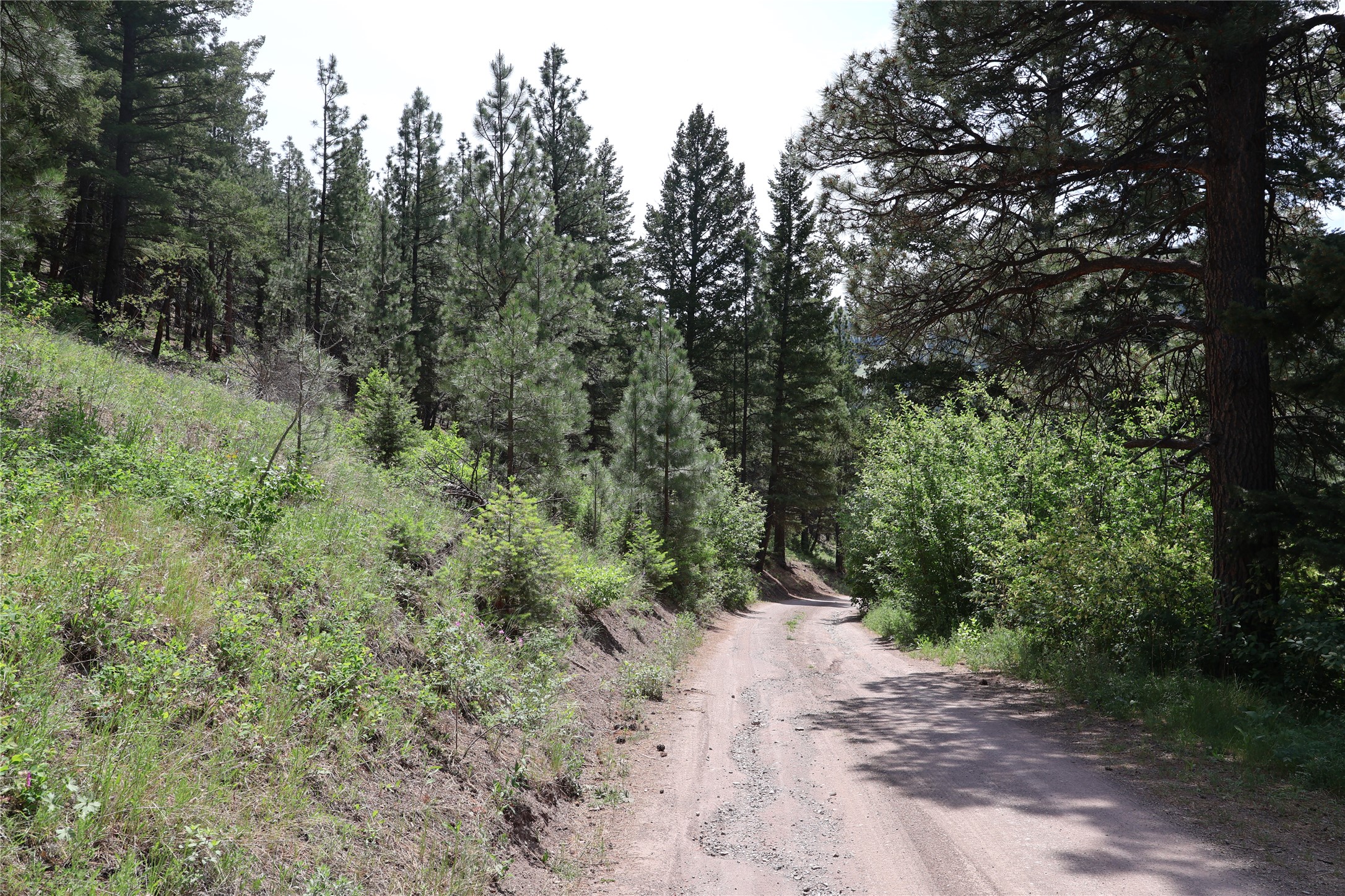 2270 Lynx Trail Drive Property Photo 20