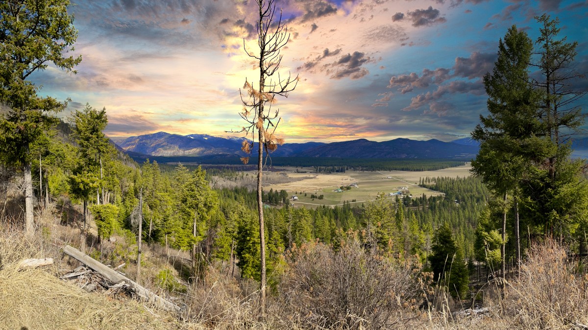 Nhn Blackjack Road Property Photo