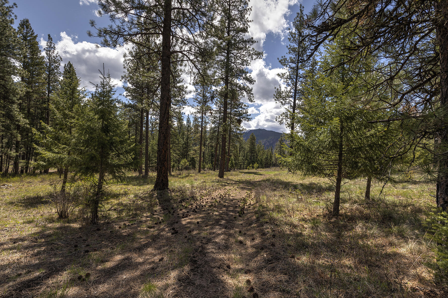 Nhn Mountain Vista Lane Property Photo 1