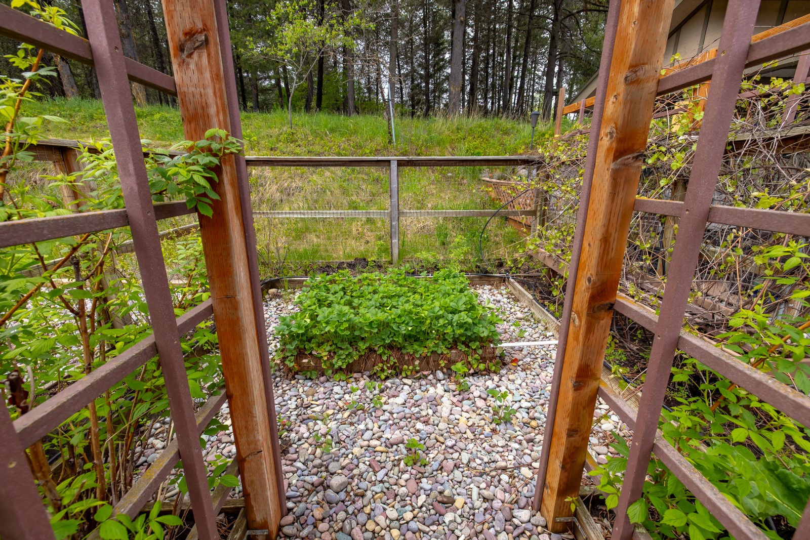 580 Hollow Lane Property Photo 75