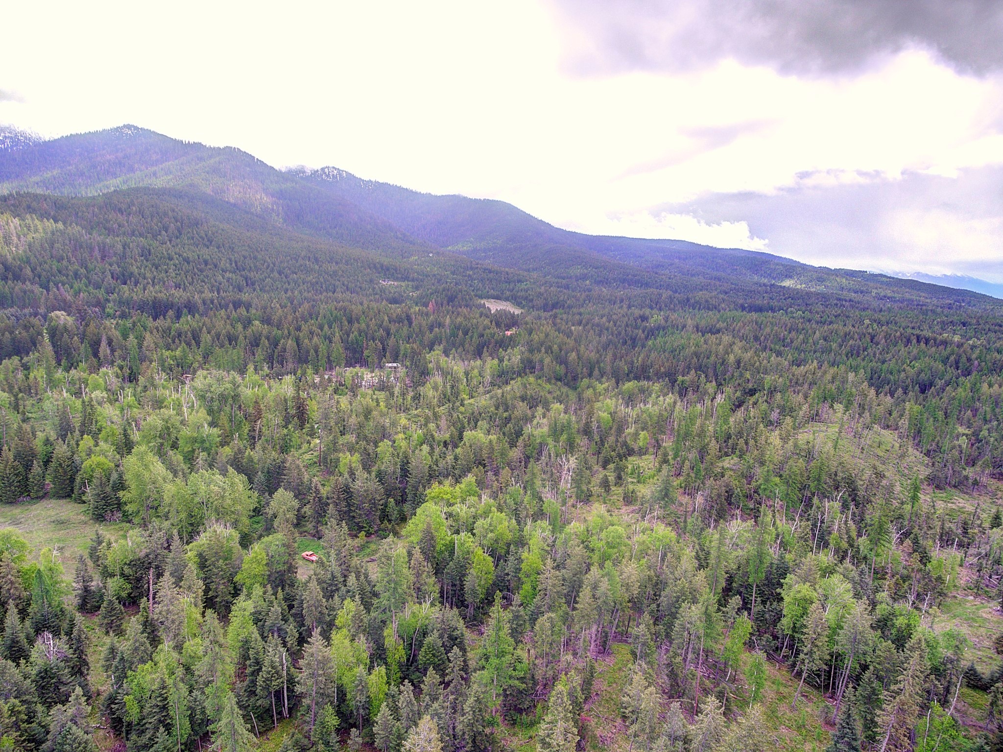 1462 Foothill Road Property Photo