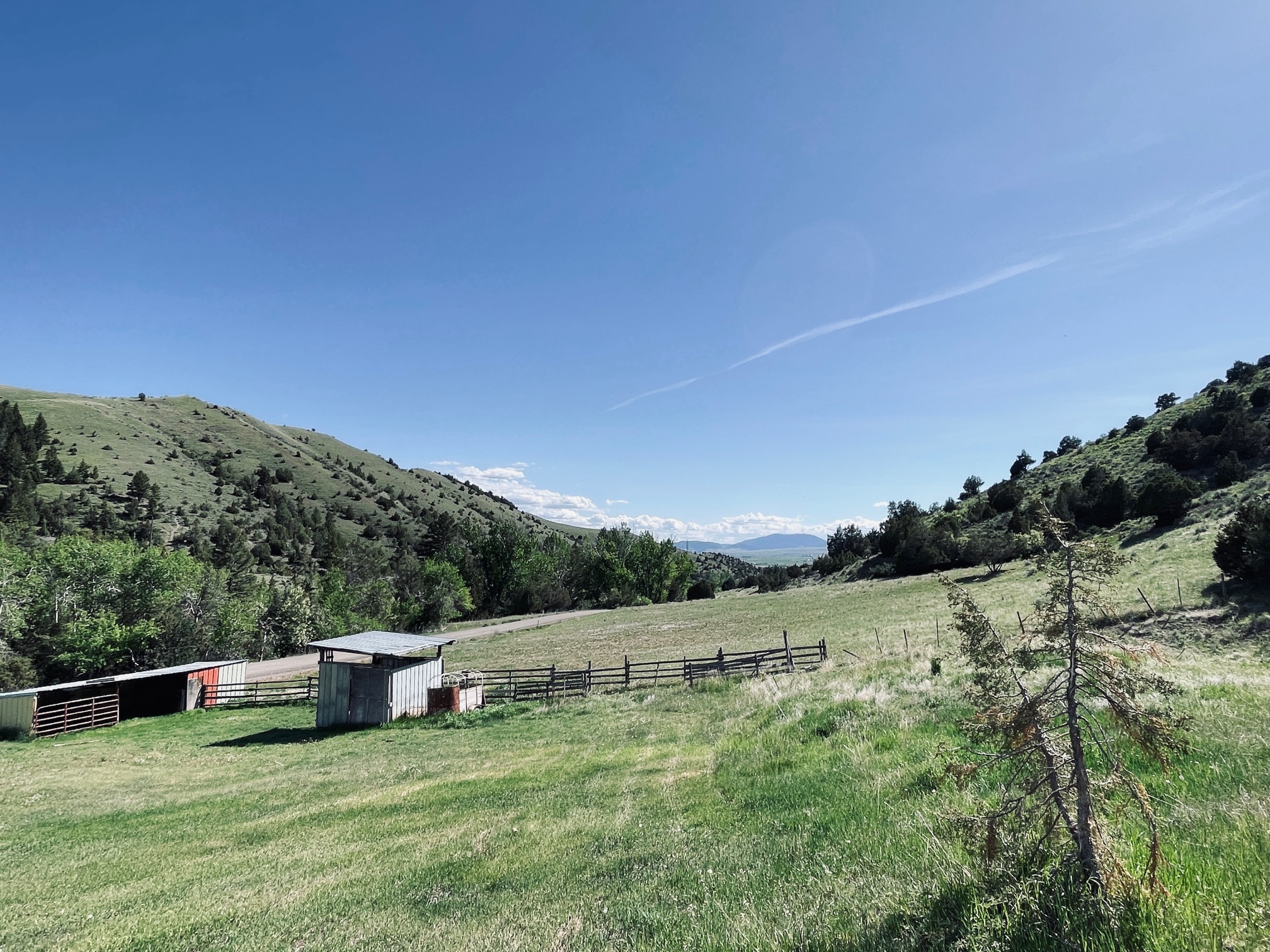 109 Edwards Gulch Road Property Photo 27