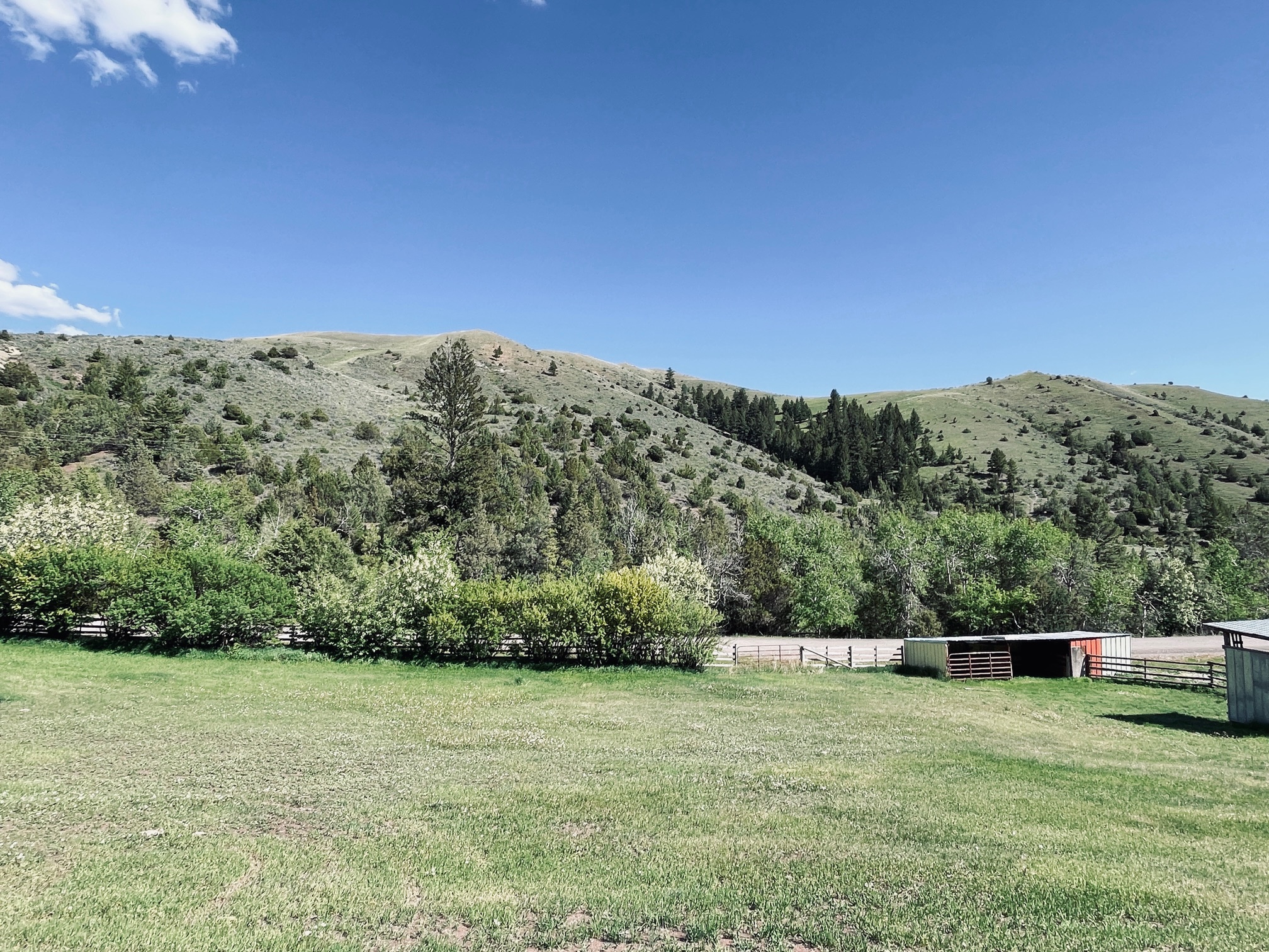 109 Edwards Gulch Road Property Photo 28