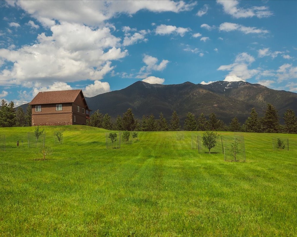 273 Game Trail Property Photo 46